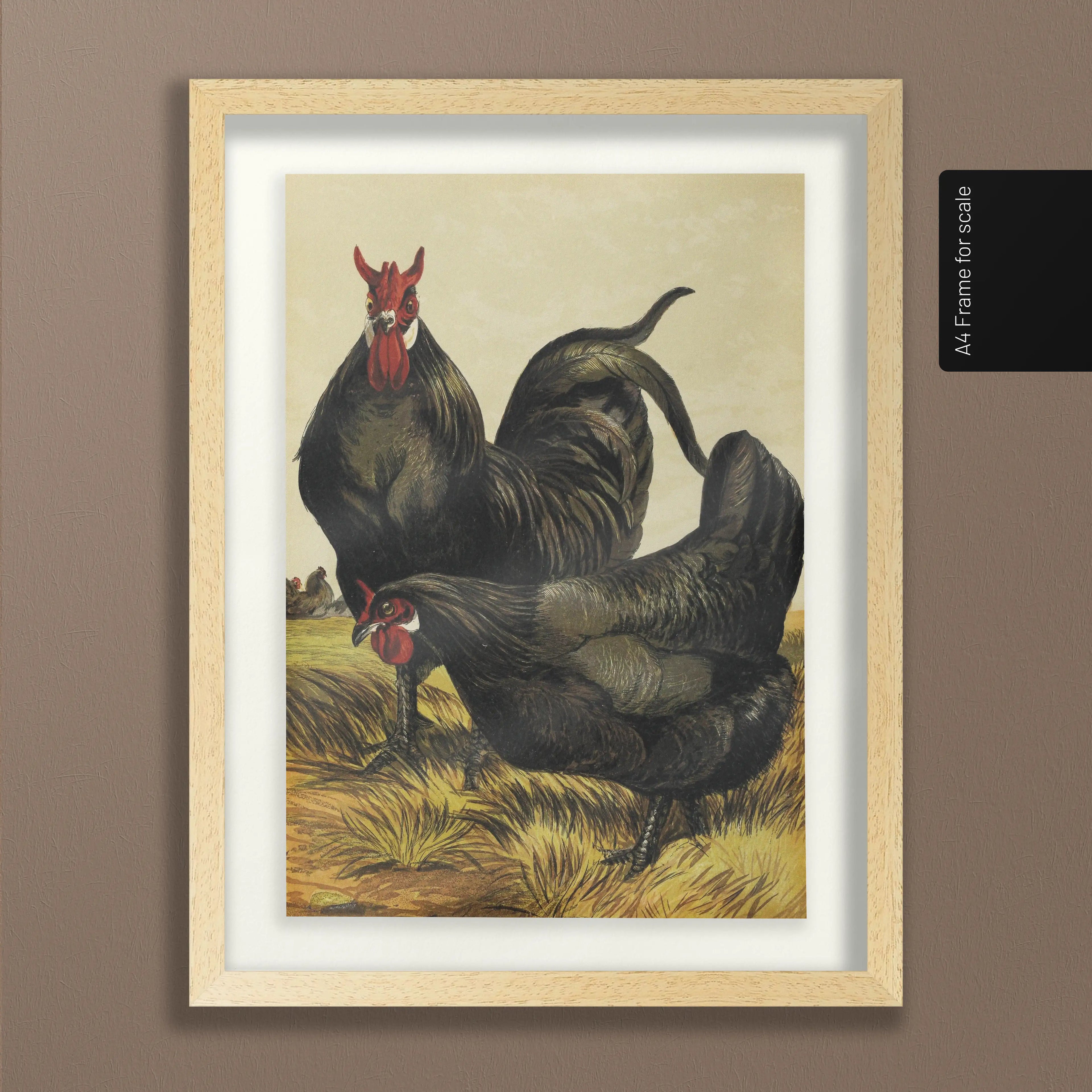 Natural History: Plate No. 23