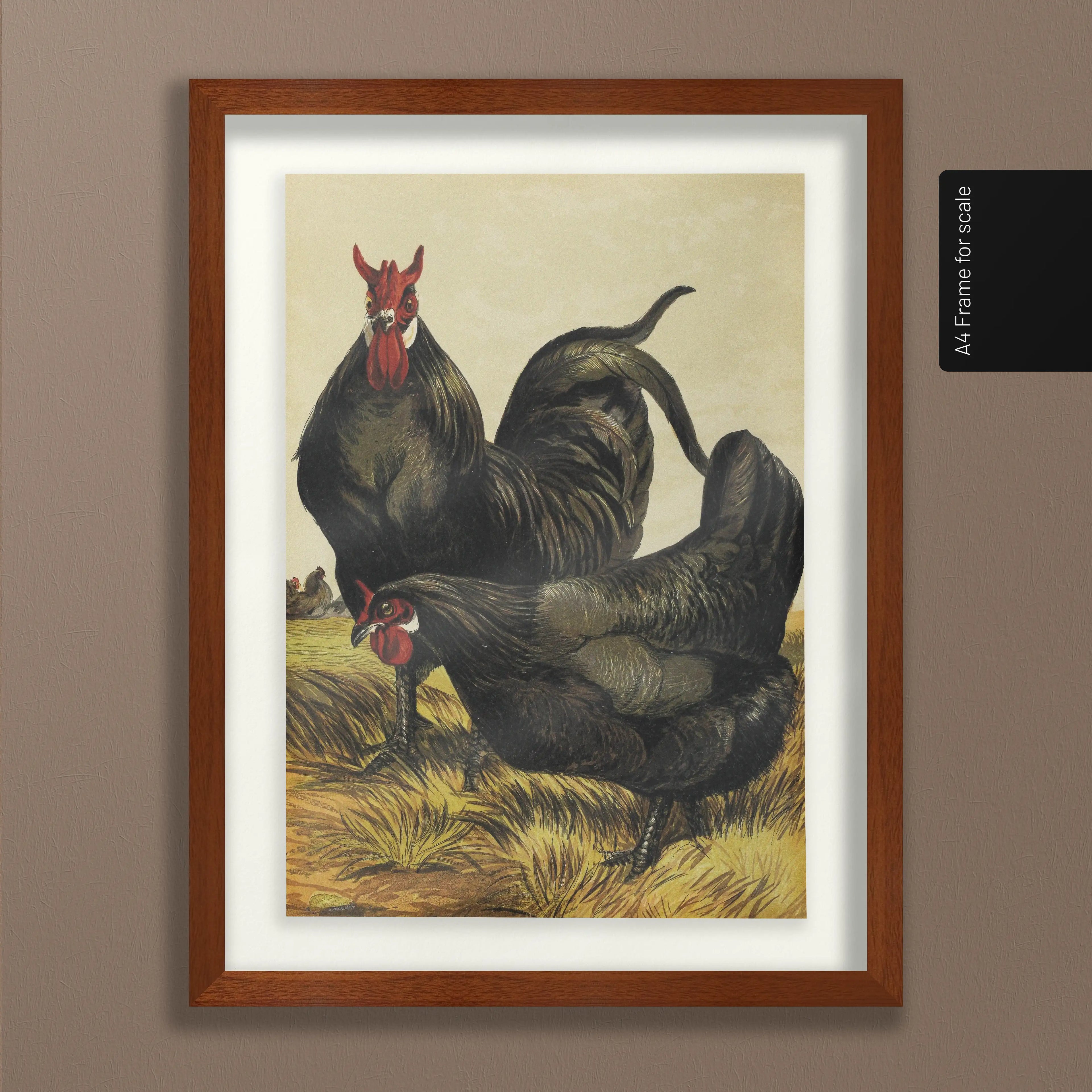 Natural History: Plate No. 23