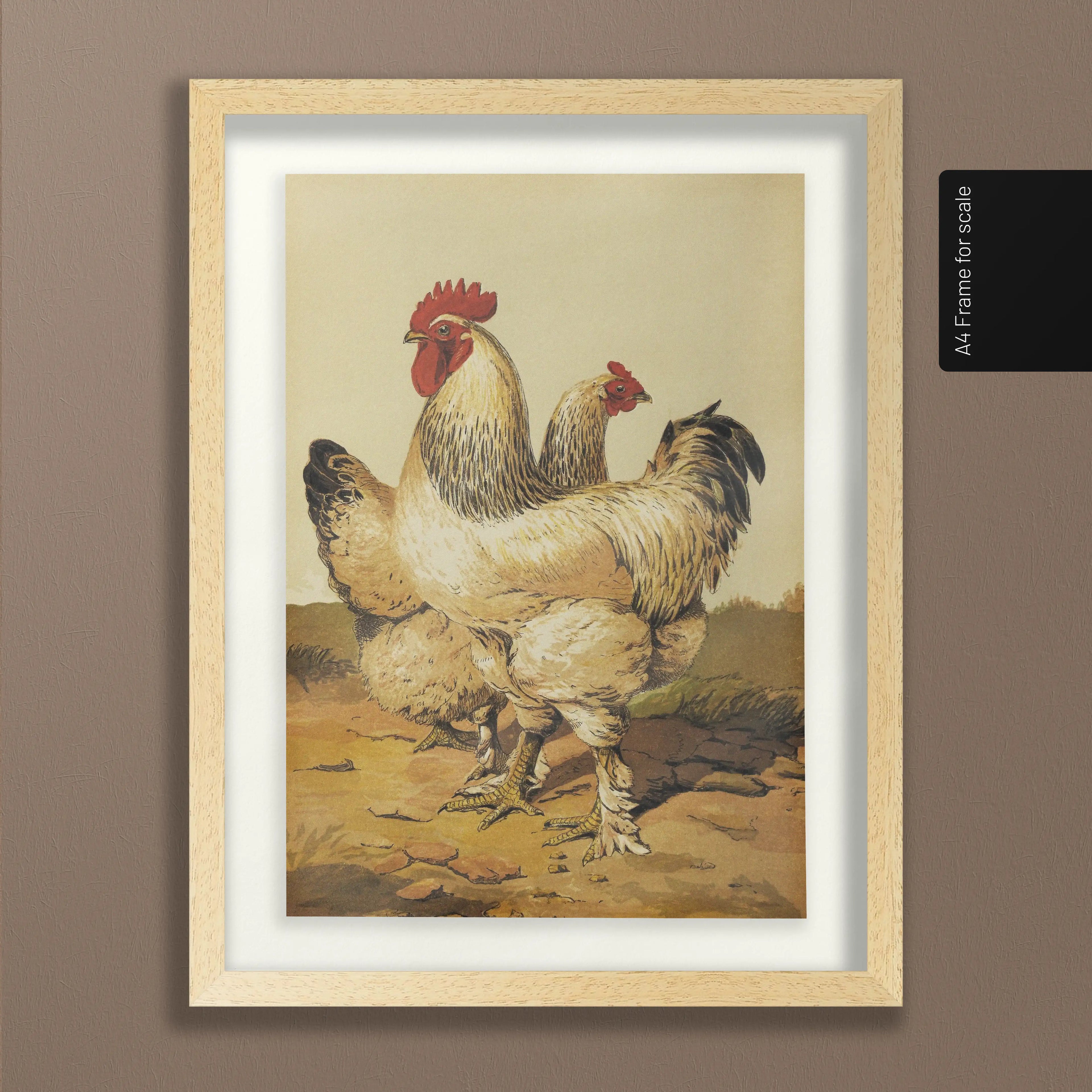 Natural History: Plate No. 25