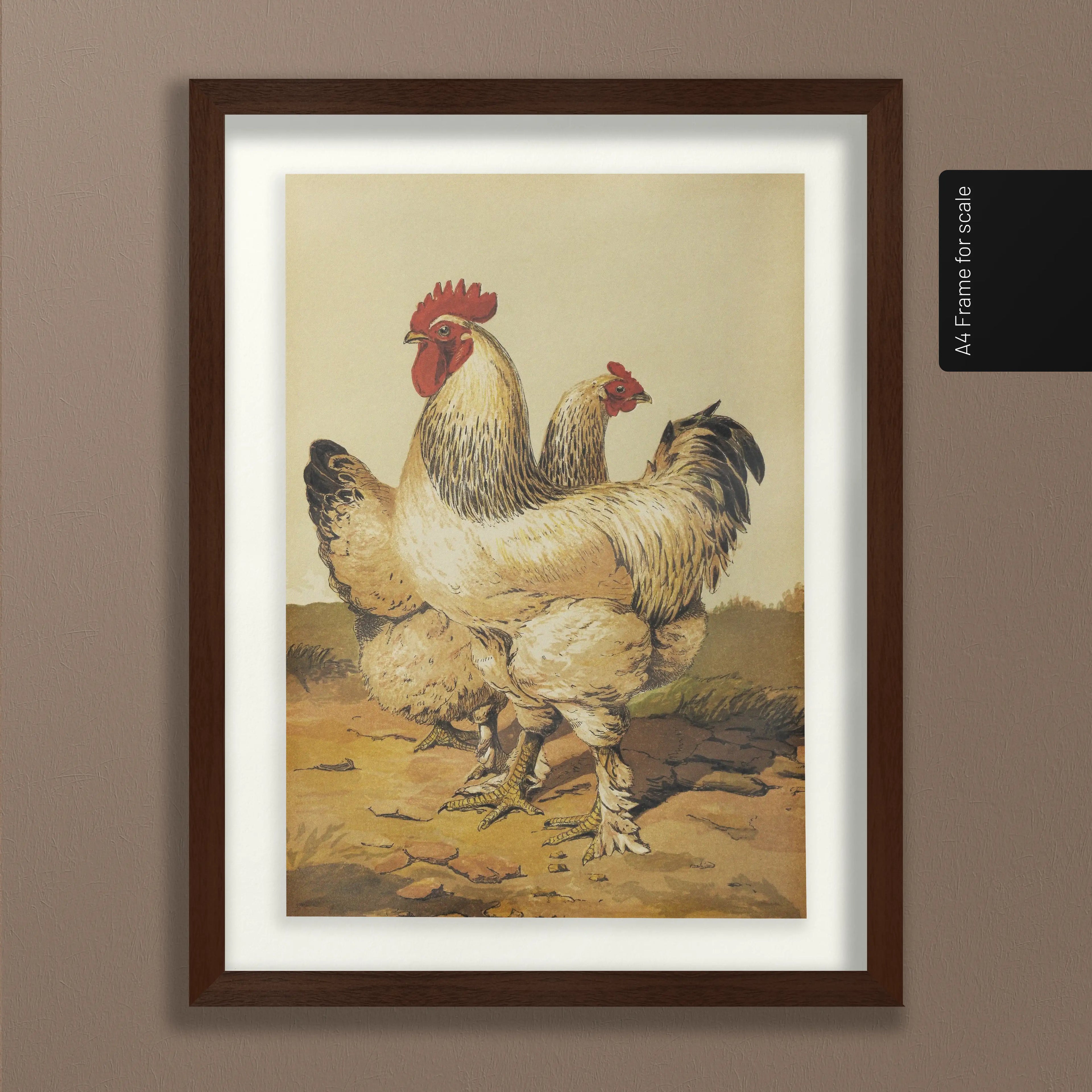 Natural History: Plate No. 25