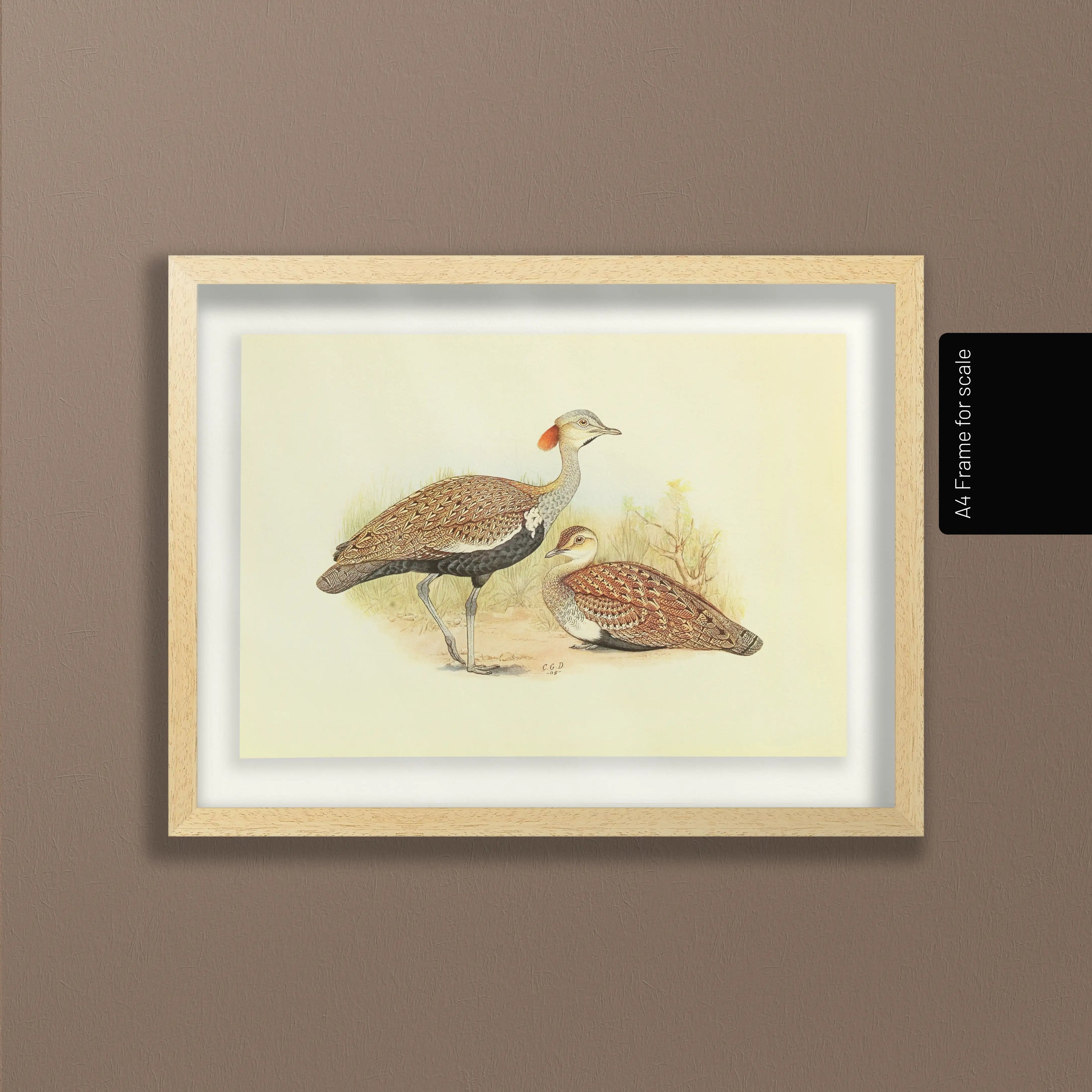 Natural History: Plate No. 32