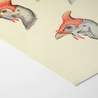 Natural History: Plate No. 38