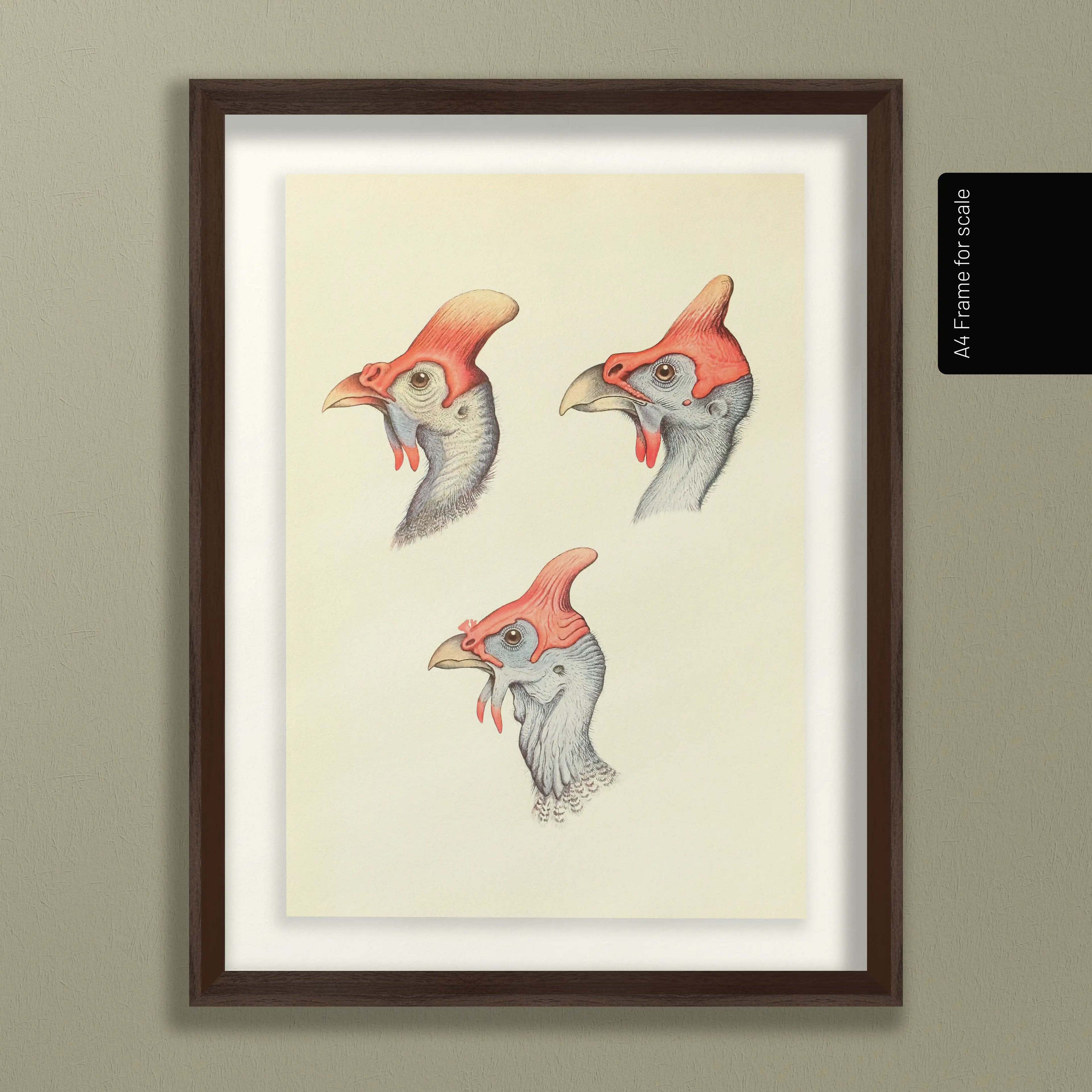 Natural History: Plate No. 38