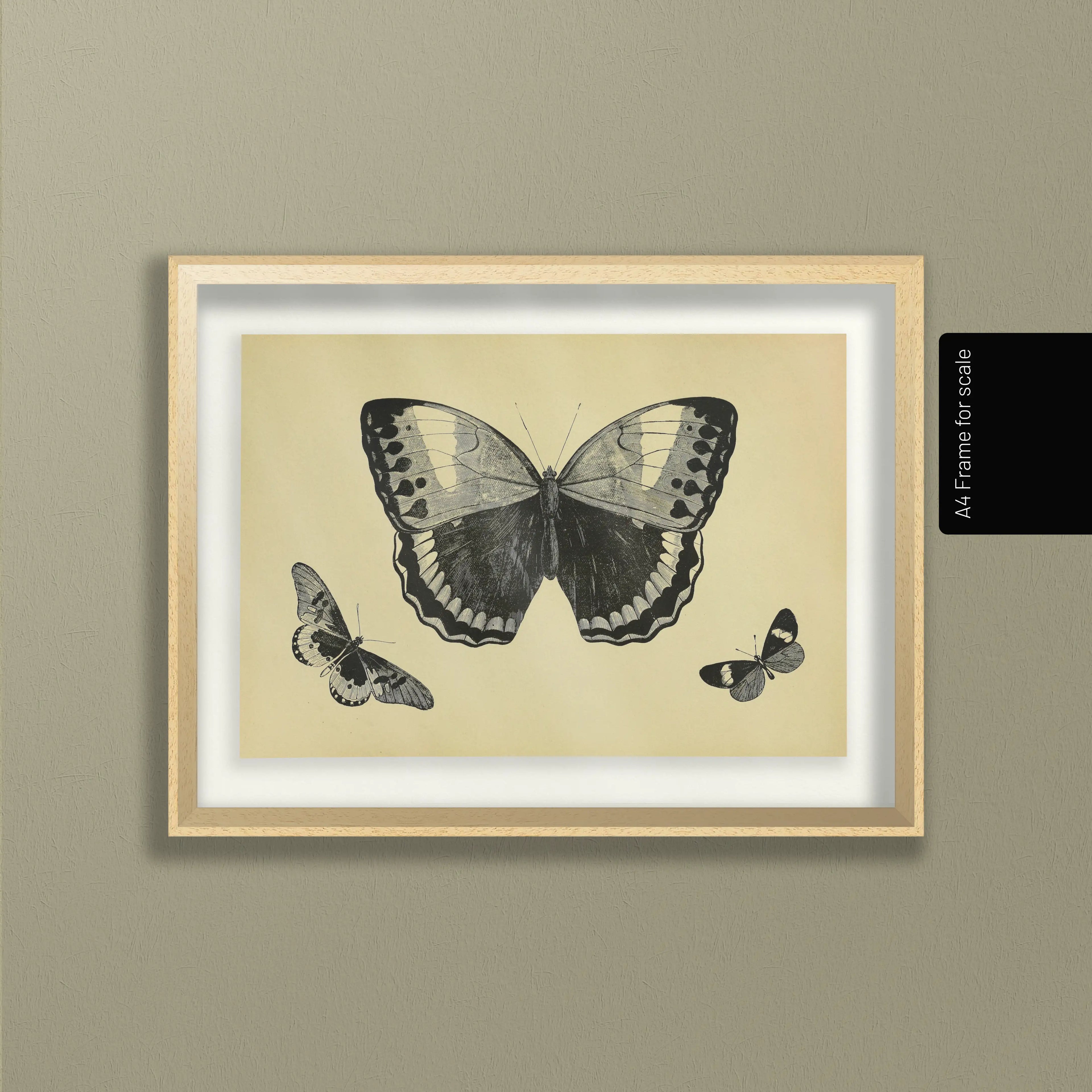 Natural History: Plate No. 48
