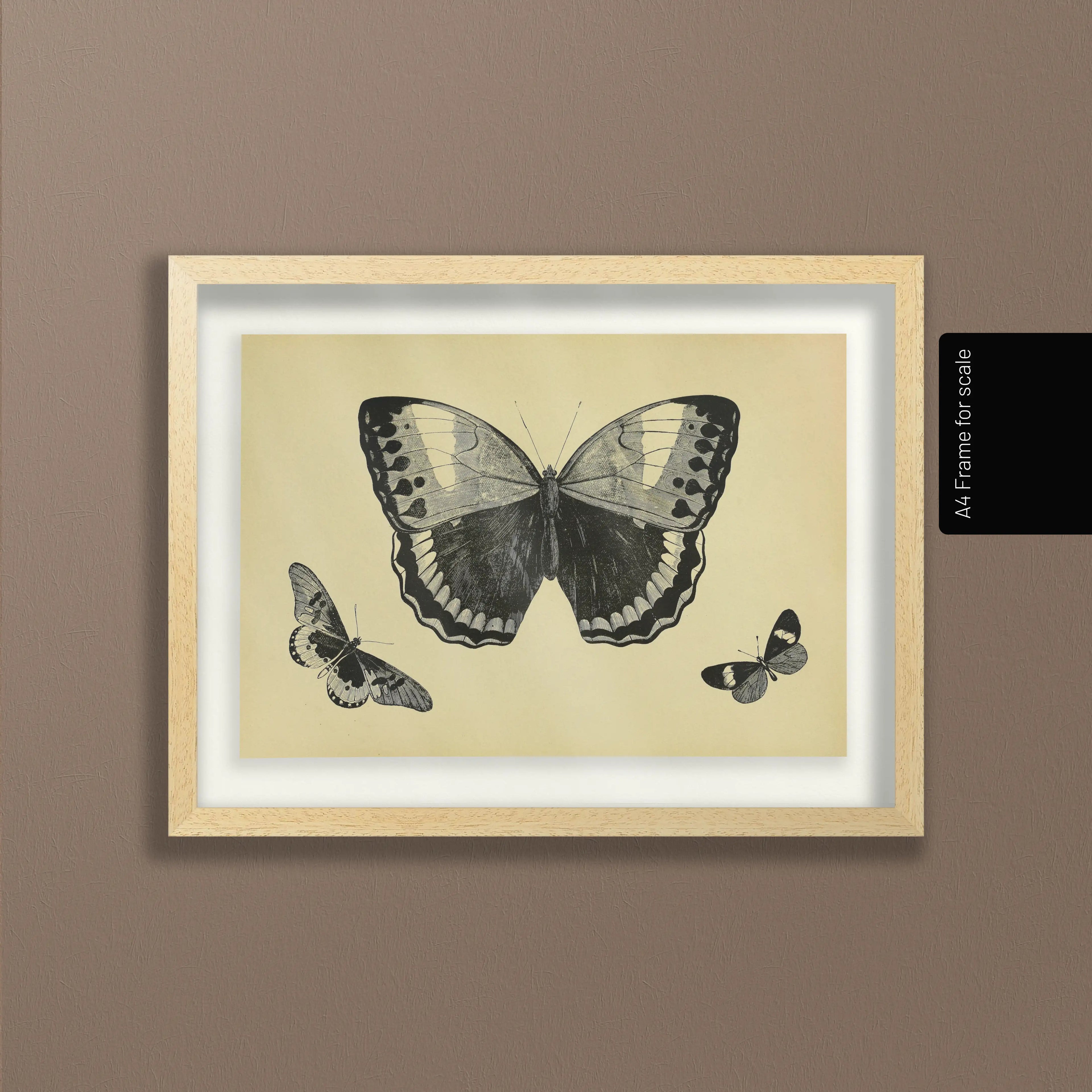 Natural History: Plate No. 48