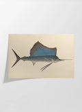 Natural History: Plate No. 50