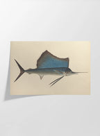 Natural History: Plate No. 50