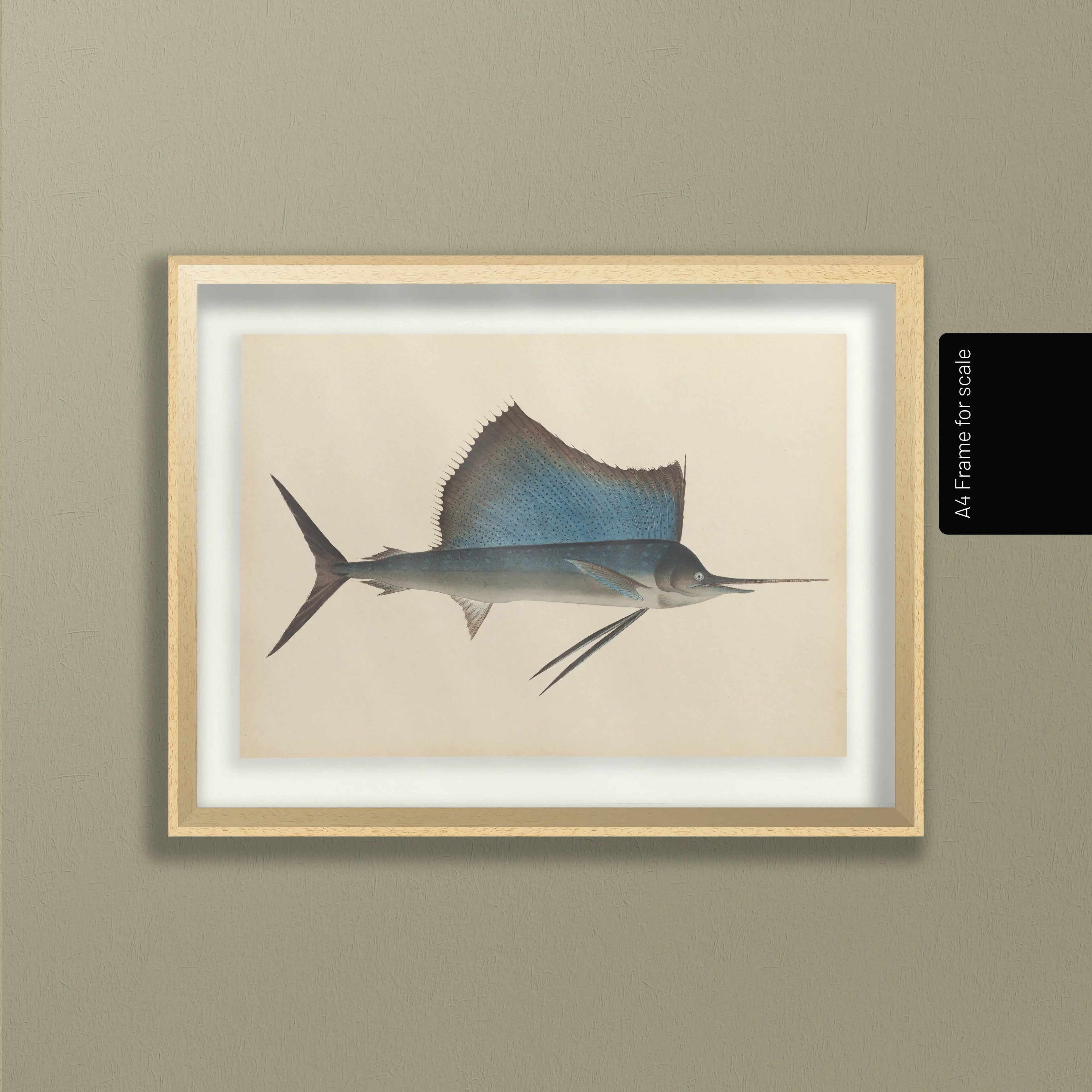 Natural History: Plate No. 50