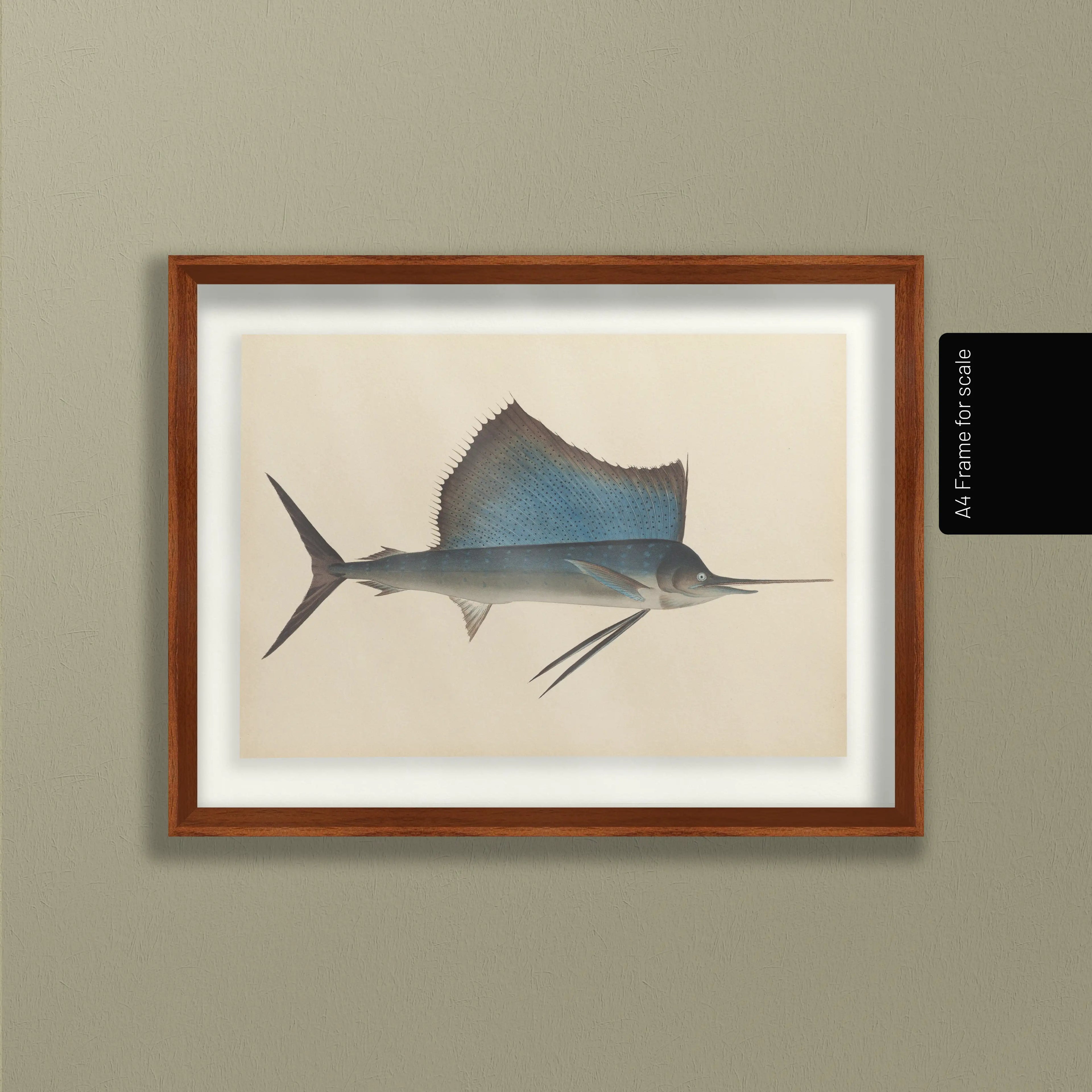 Natural History: Plate No. 50