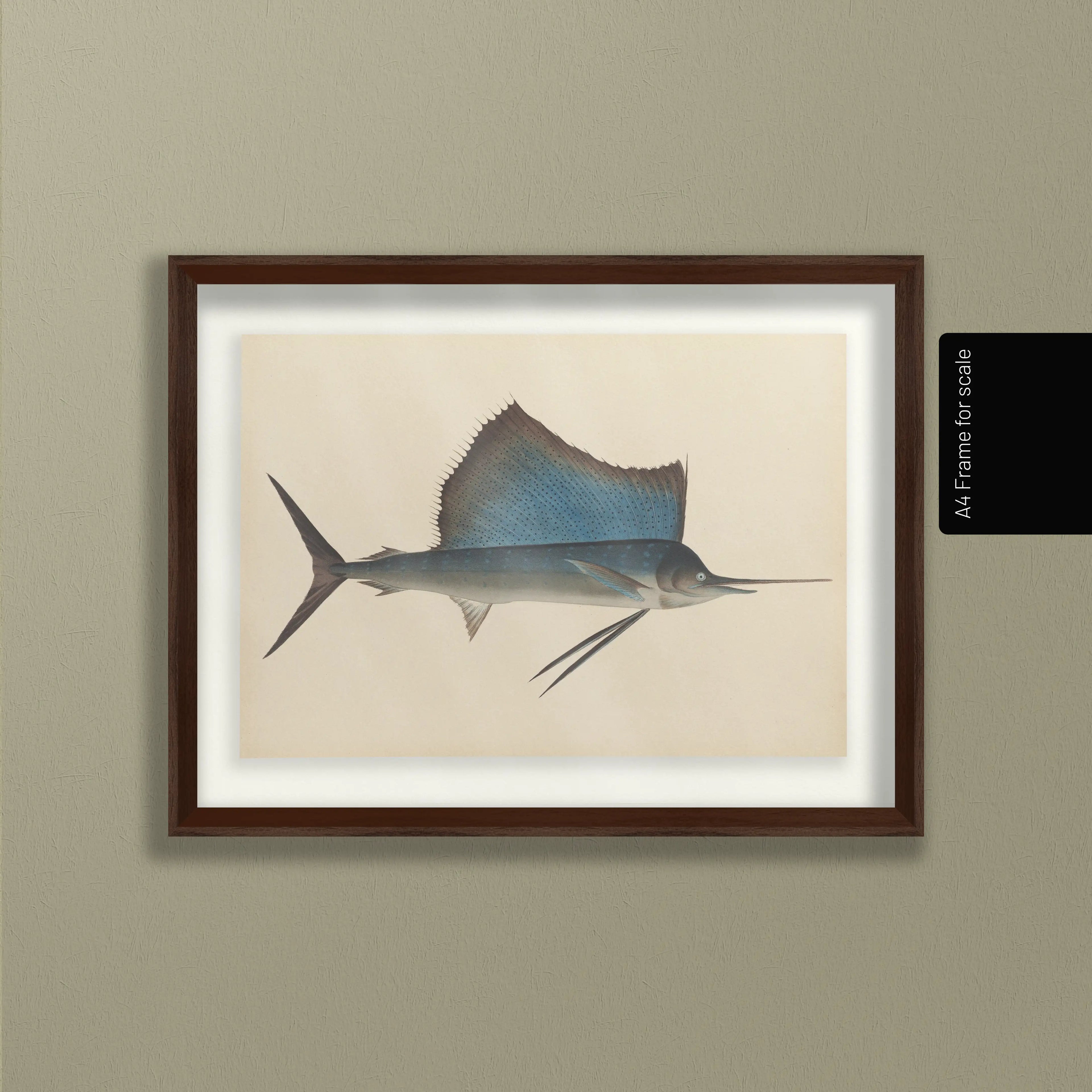 Natural History: Plate No. 50
