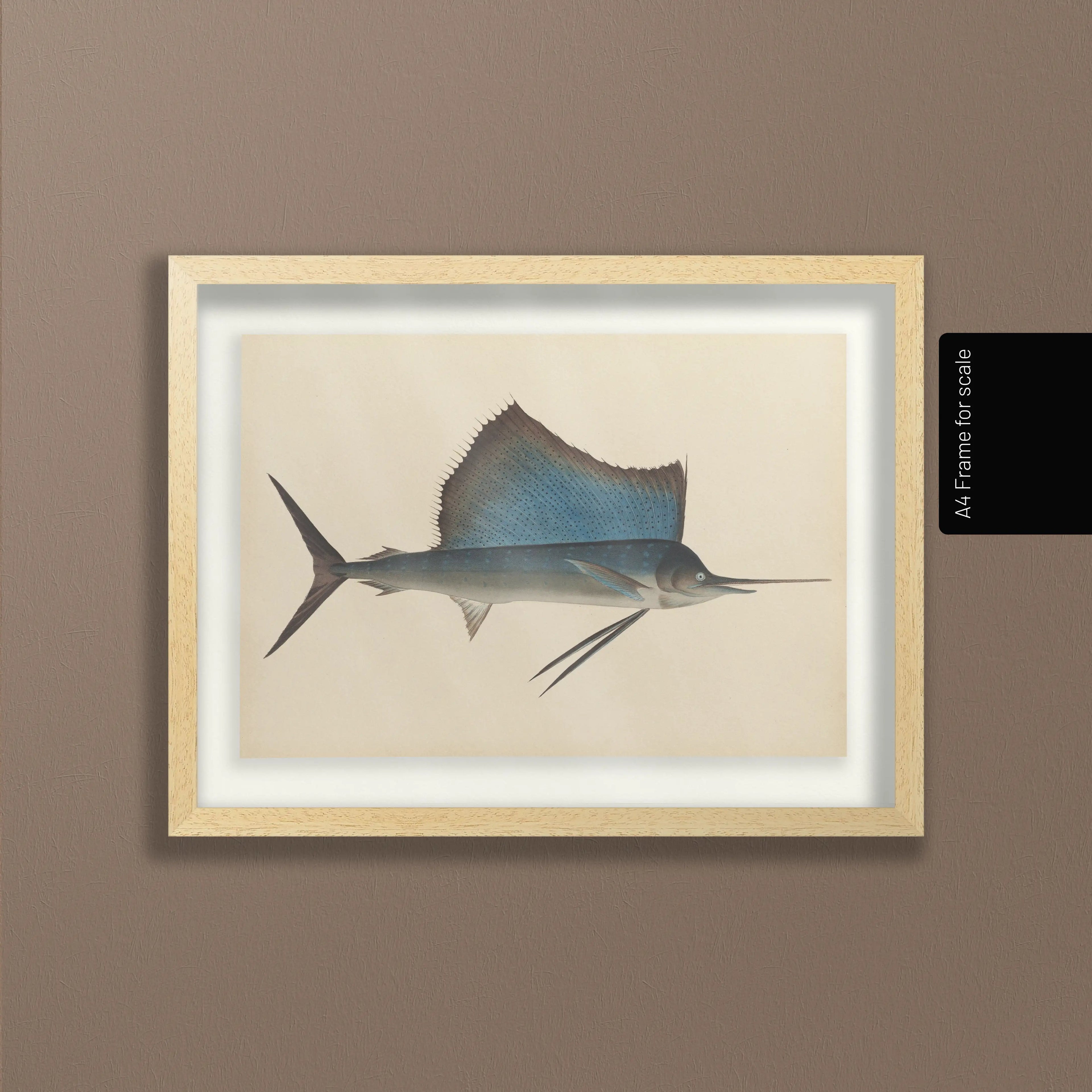 Natural History: Plate No. 50
