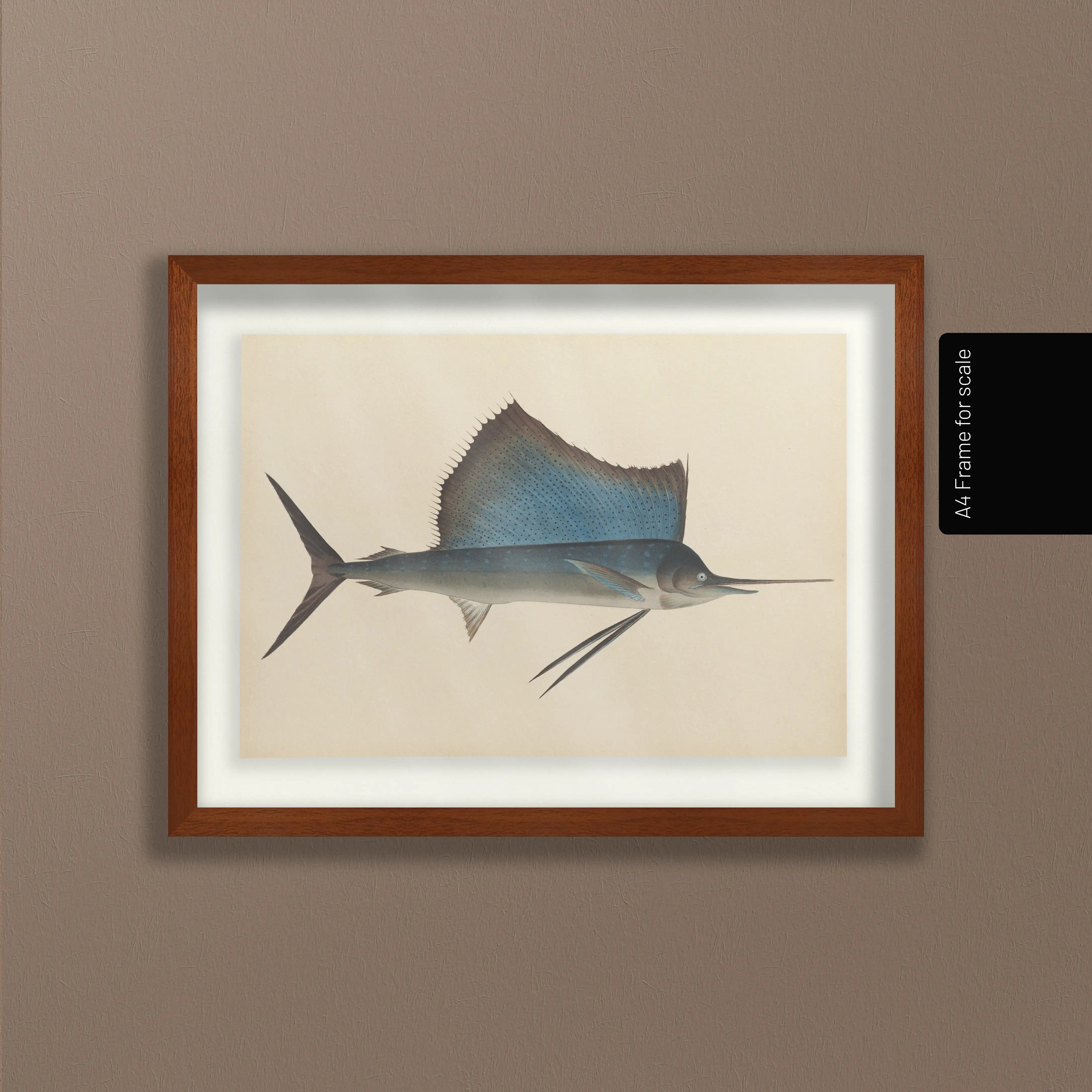 Natural History: Plate No. 50