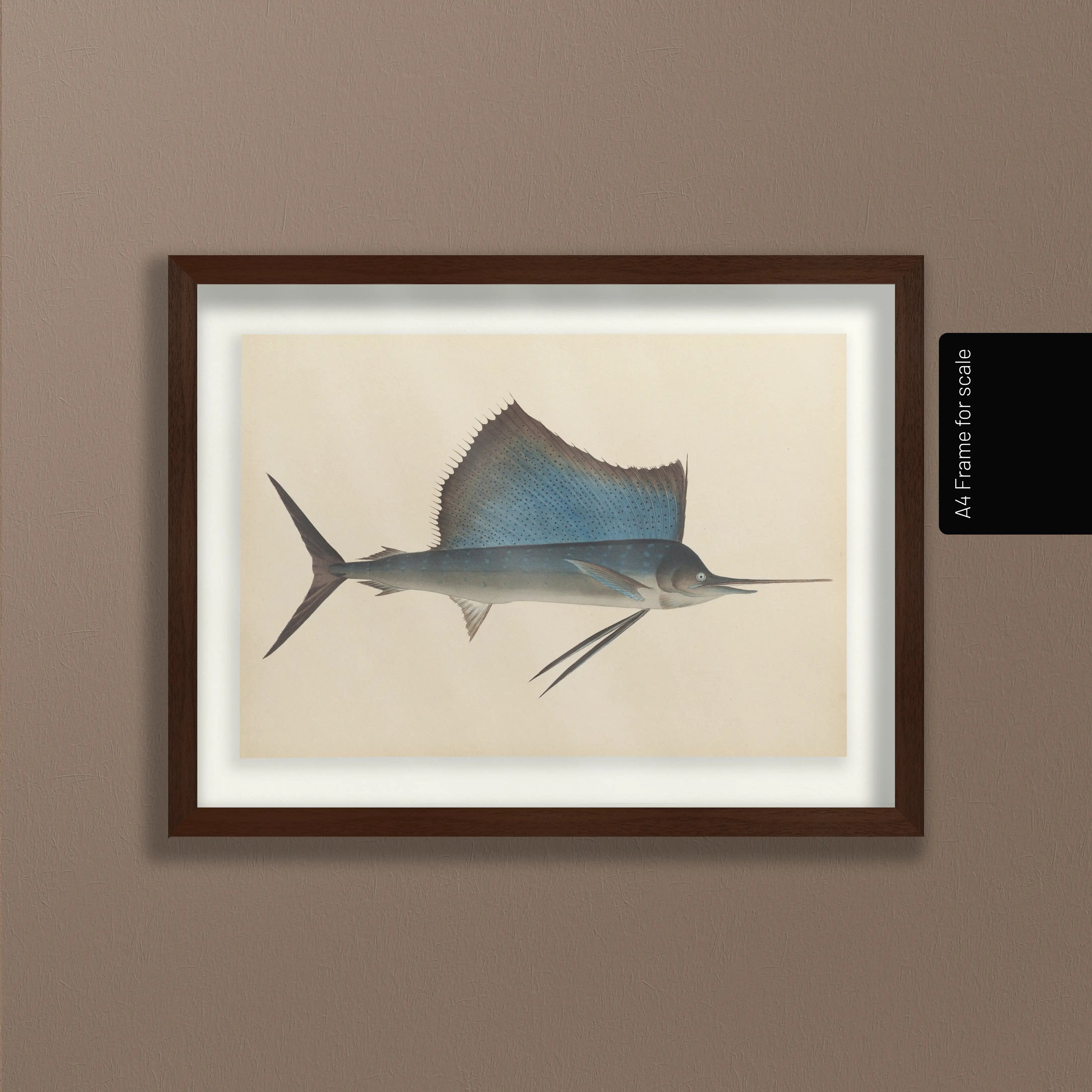 Natural History: Plate No. 50