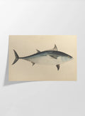 Natural History: Plate No. 55