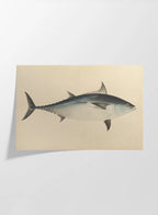 Natural History: Plate No. 55