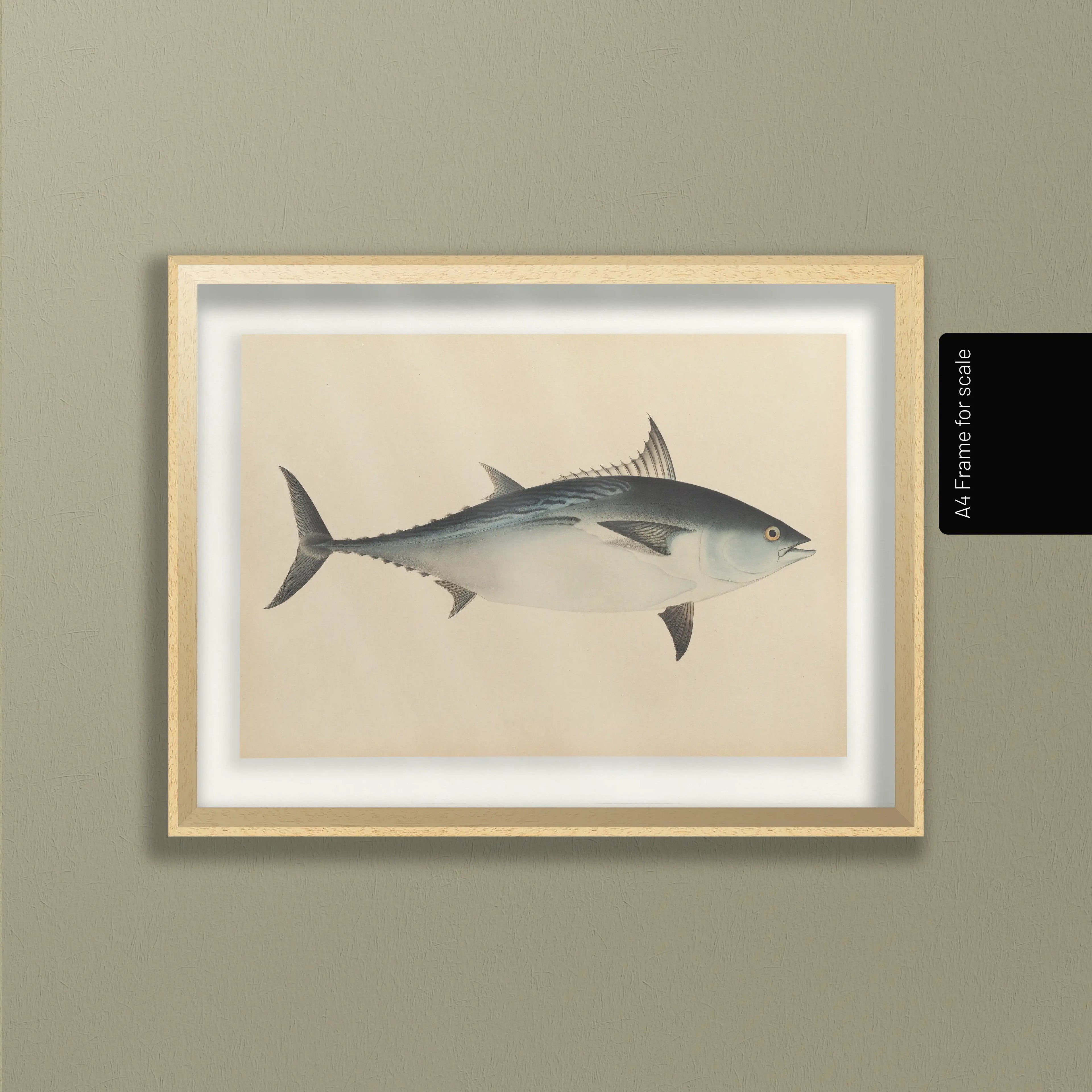 Natural History: Plate No. 55