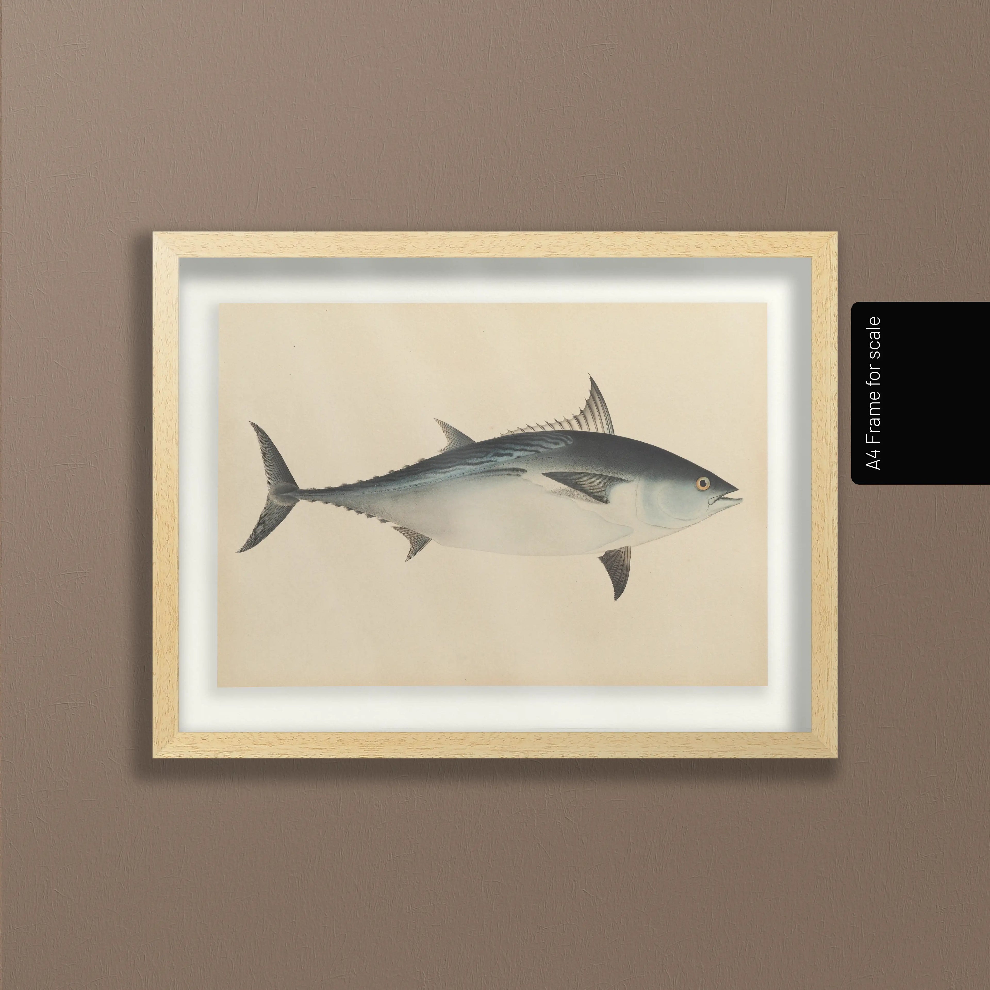 Natural History: Plate No. 55