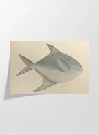 Natural History: Plate No. 56