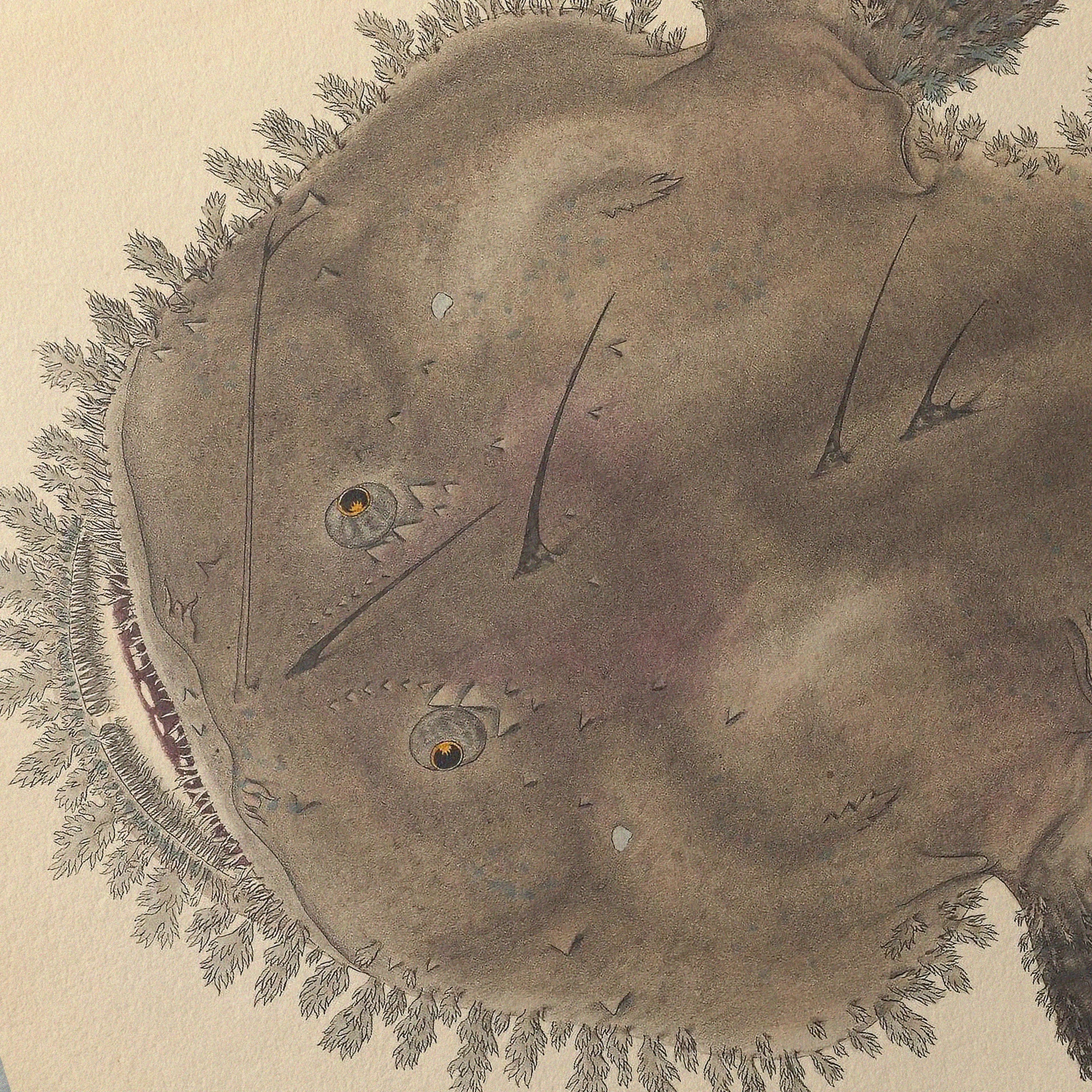 Natural History: Plate No. 65