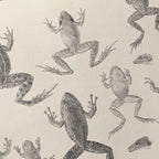 Natural History: Plate No. 68
