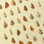 Natural History: Plate No. 81