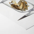 Natural History: Plate No. 84