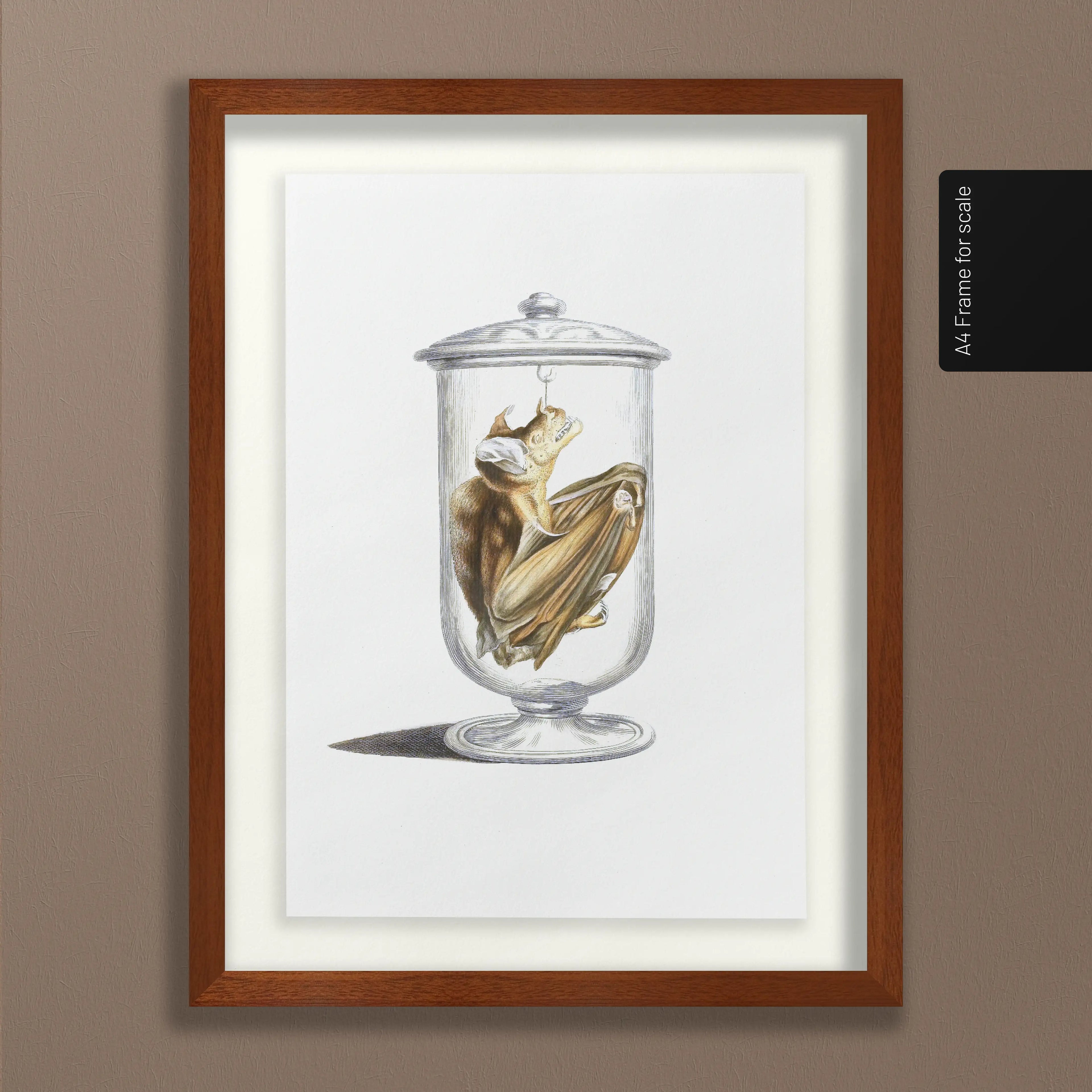 Natural History: Plate No. 84