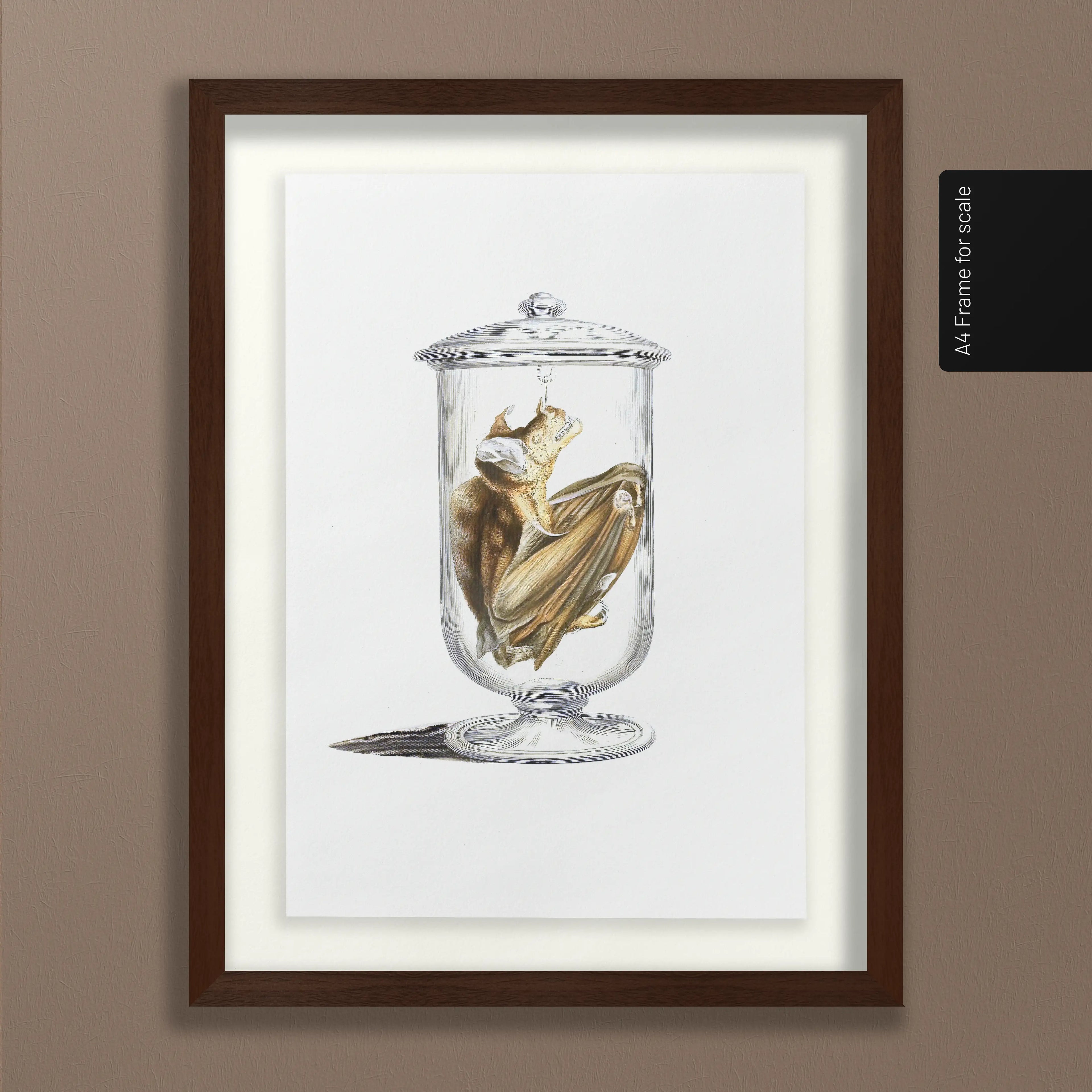 Natural History: Plate No. 84