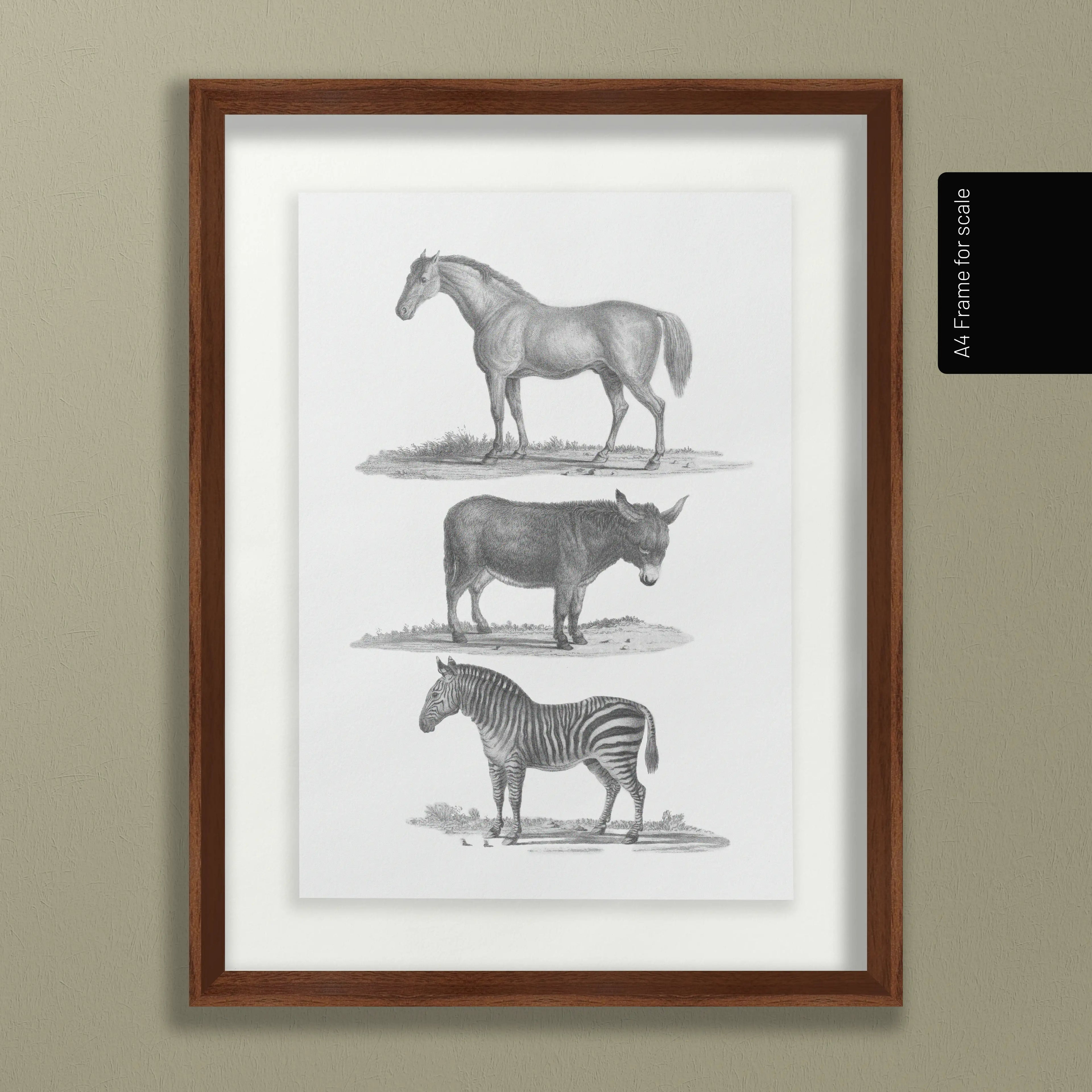 Natural History: Plate No. 86