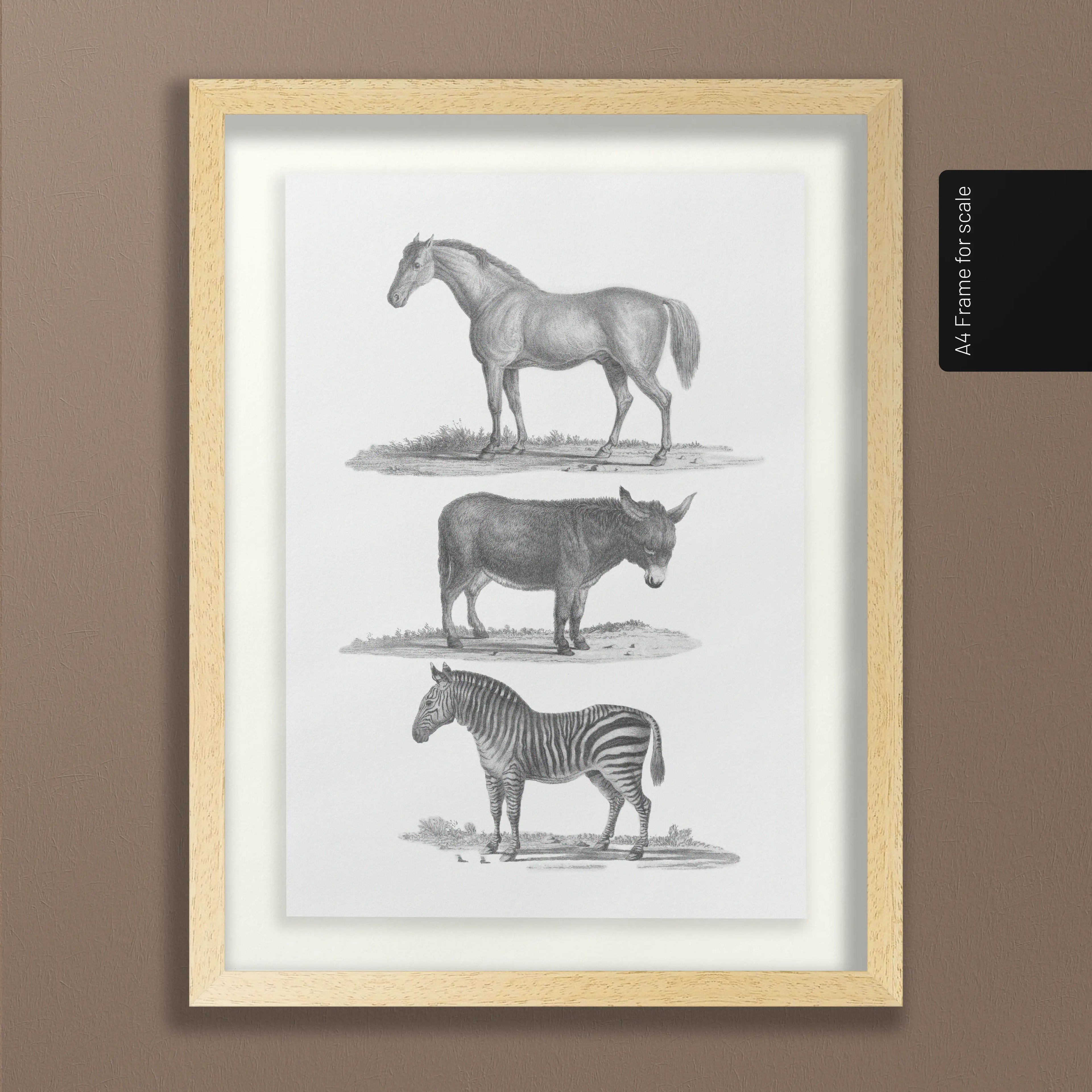 Natural History: Plate No. 86