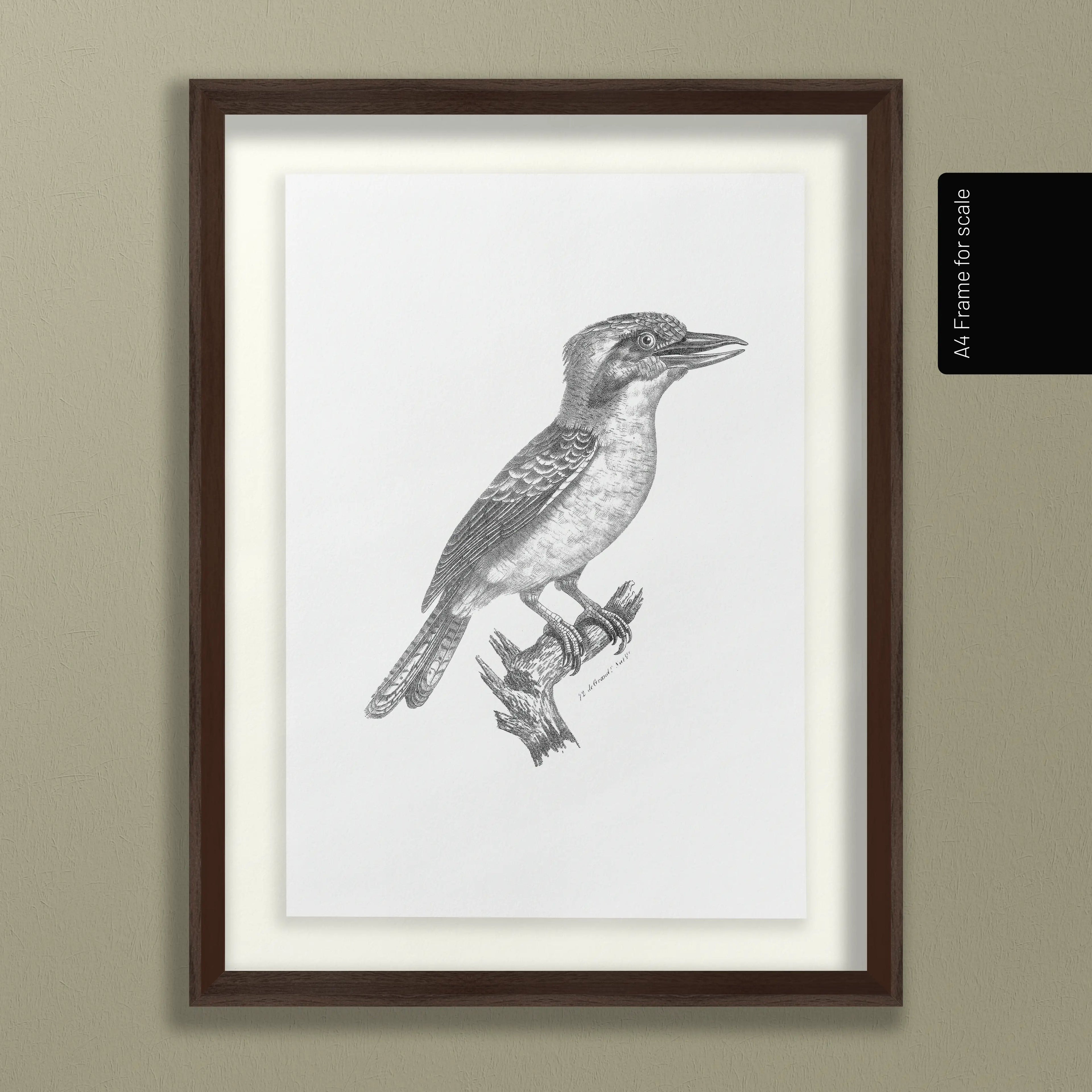 Natural History: Plate No. 87