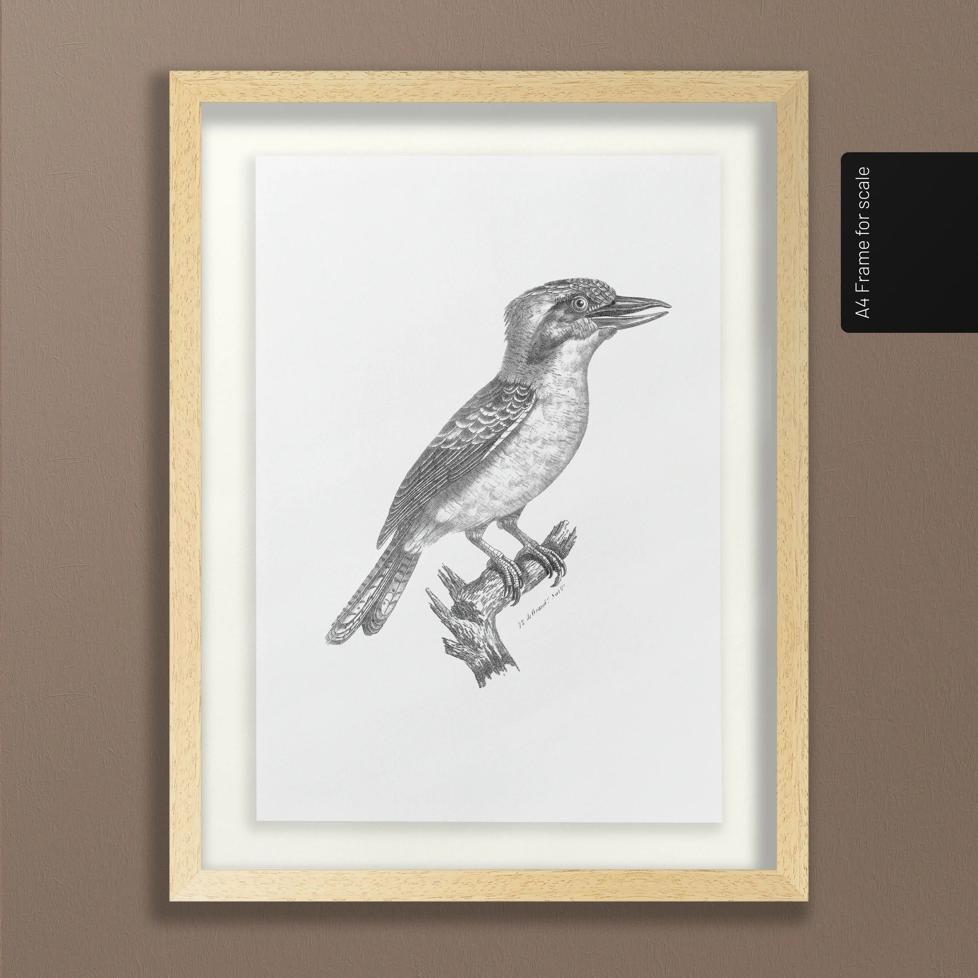 Natural History: Plate No. 87