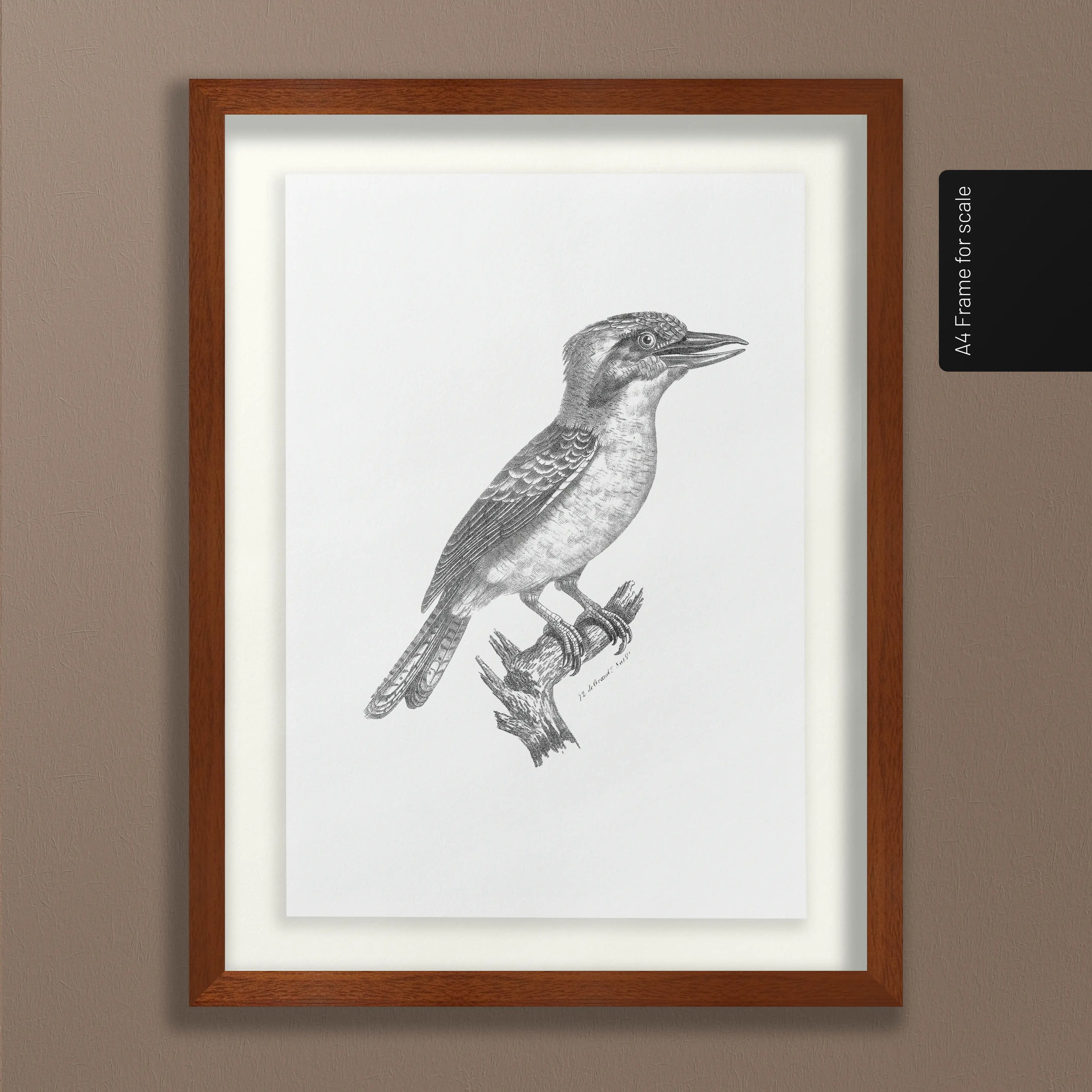 Natural History: Plate No. 87