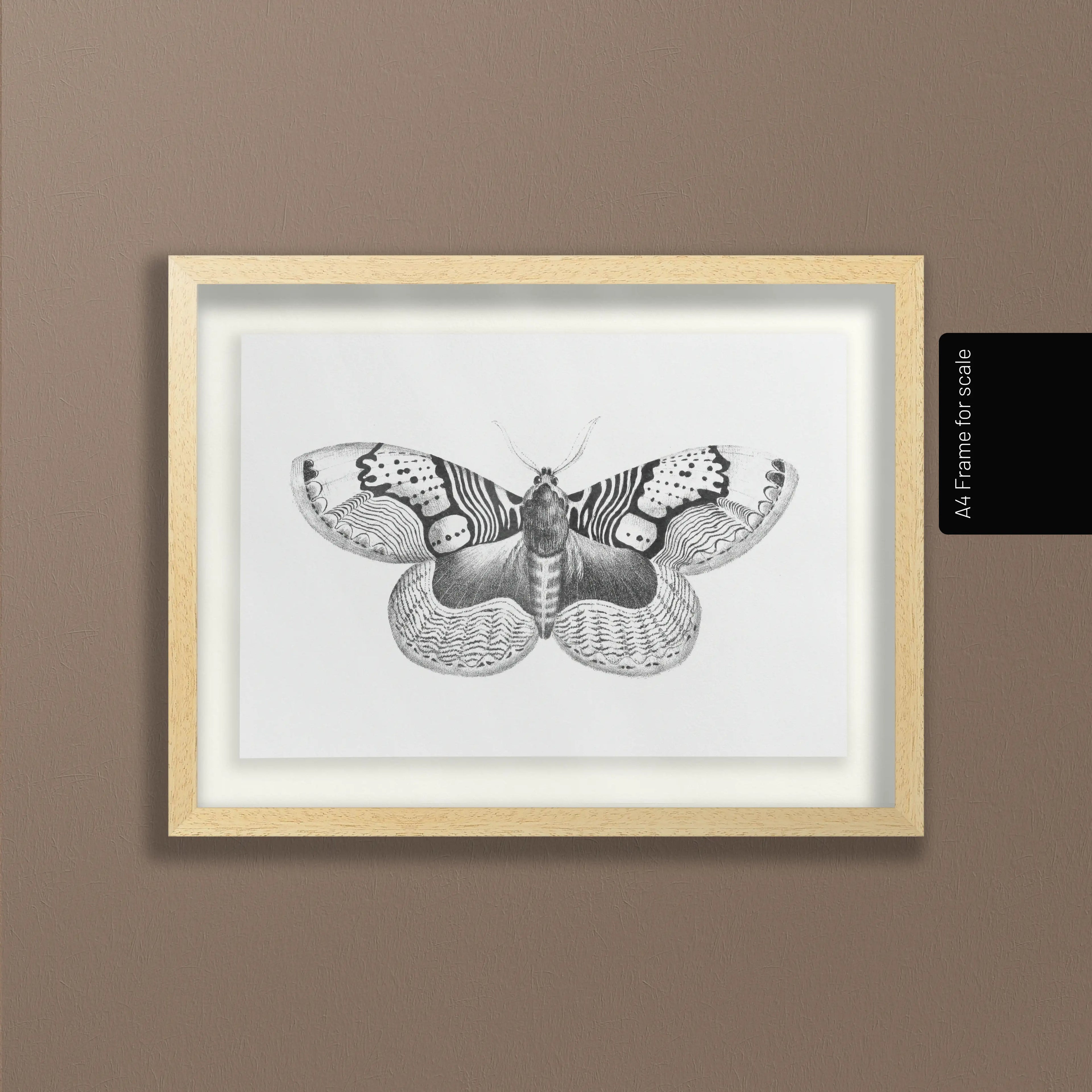 Natural History: Plate No. 88