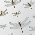 Natural History: Plate No. 90