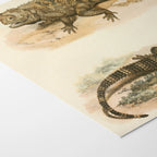 Natural History: Plate No. 108