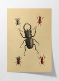Natural History: Plate No. 05