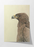 Natural History: Plate No. 07
