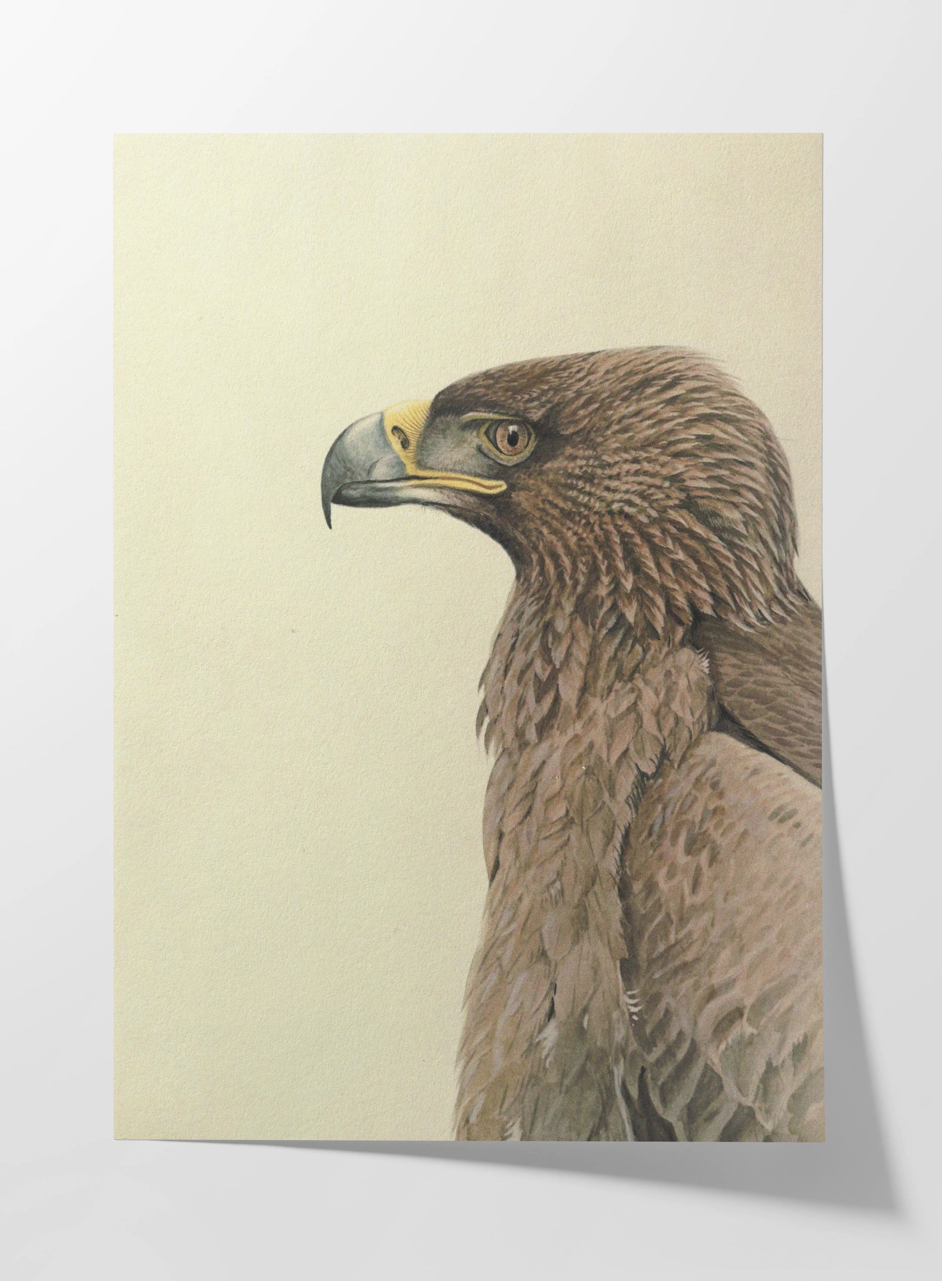 Natural History: Plate No. 07