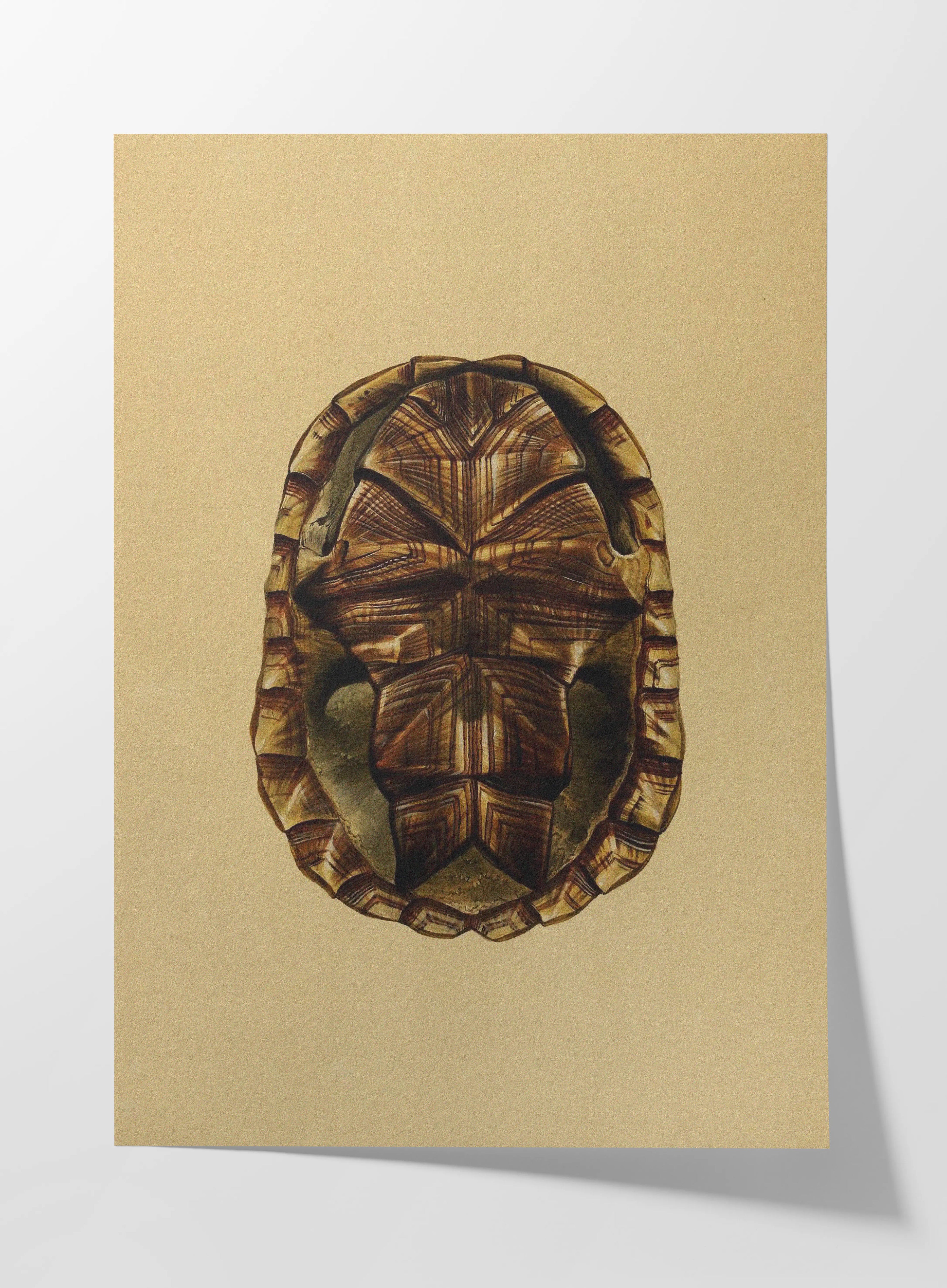 Natural History: Plate No. 09