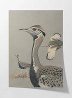 Natural History: Plate No. 13