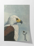 Natural History: Plate No. 14