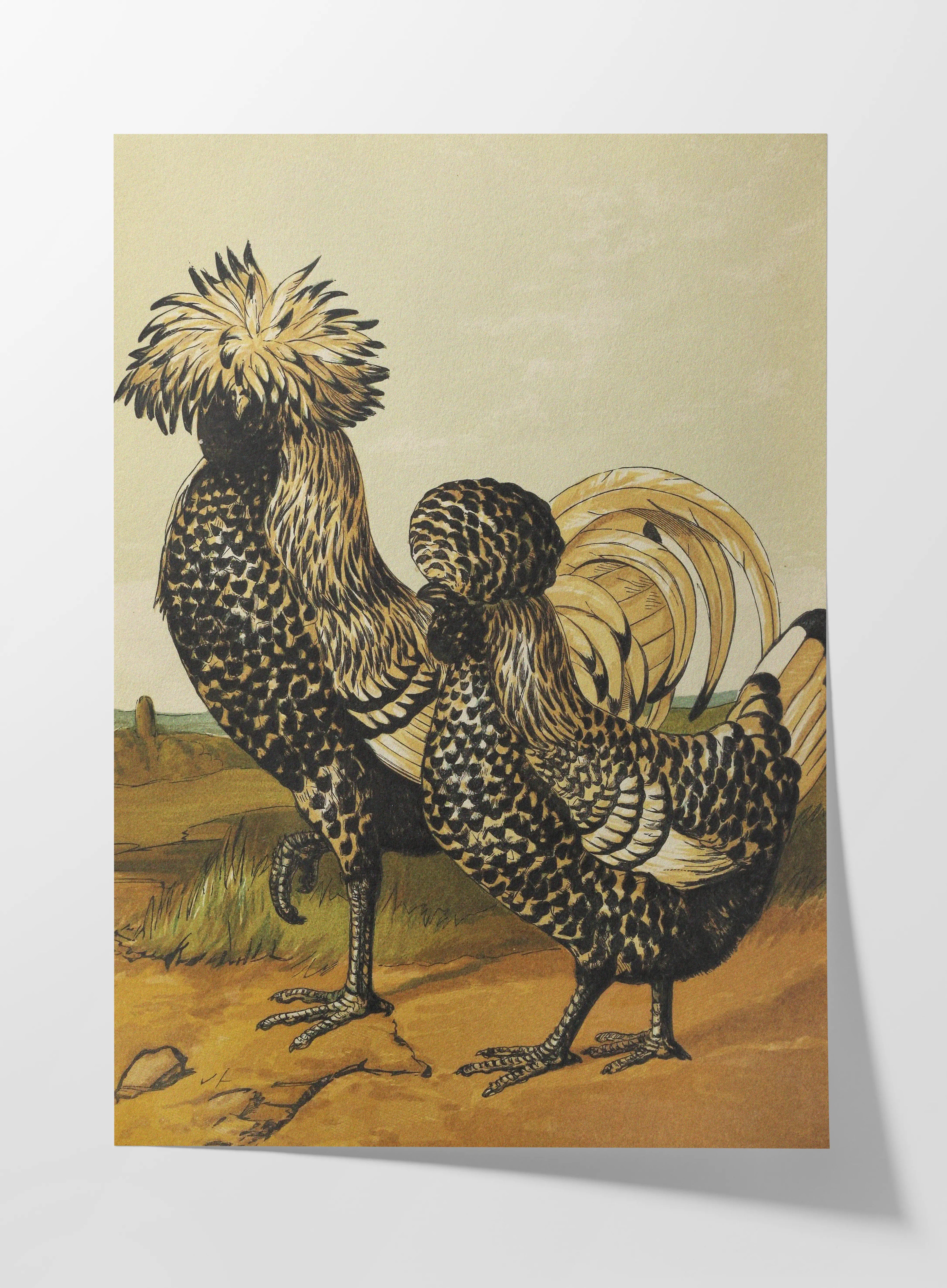 Natural History: Plate No. 22