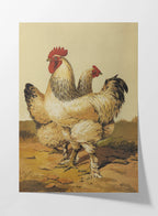 Natural History: Plate No. 25