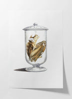 Natural History: Plate No. 84