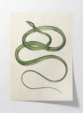 Natural History: Plate No. 102