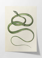 Natural History: Plate No. 102
