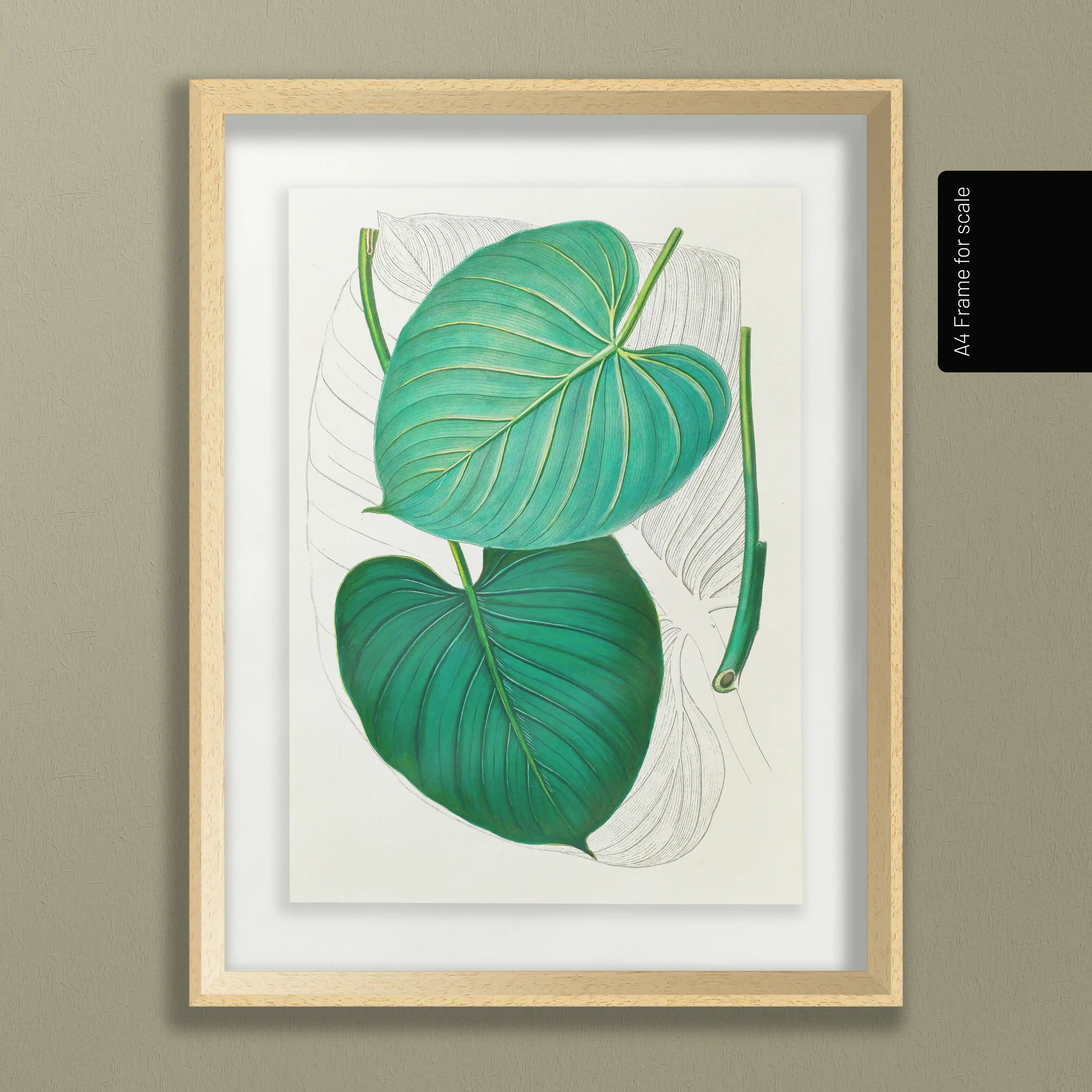 Plant Studies: Plate No. 03