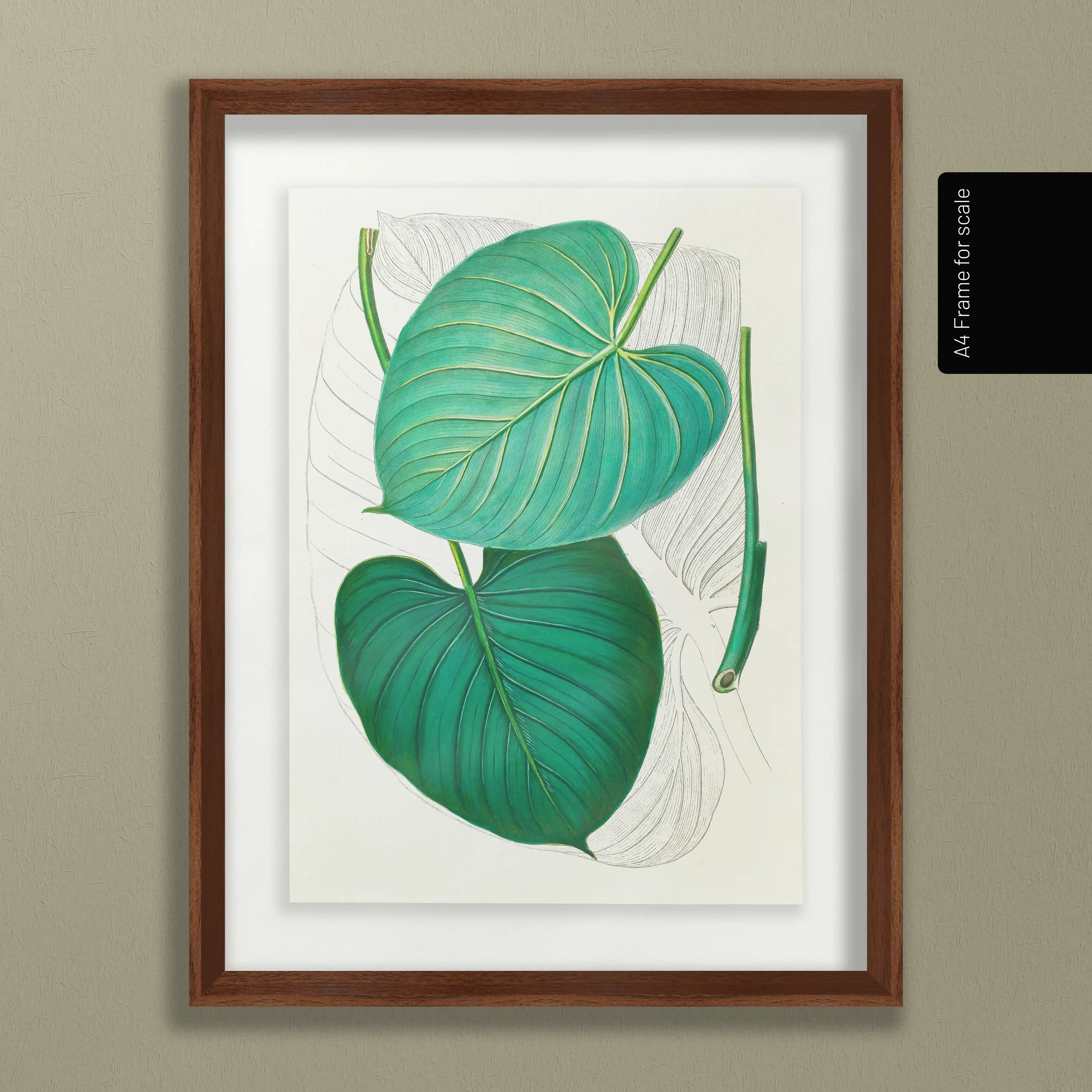 Plant Studies: Plate No. 03