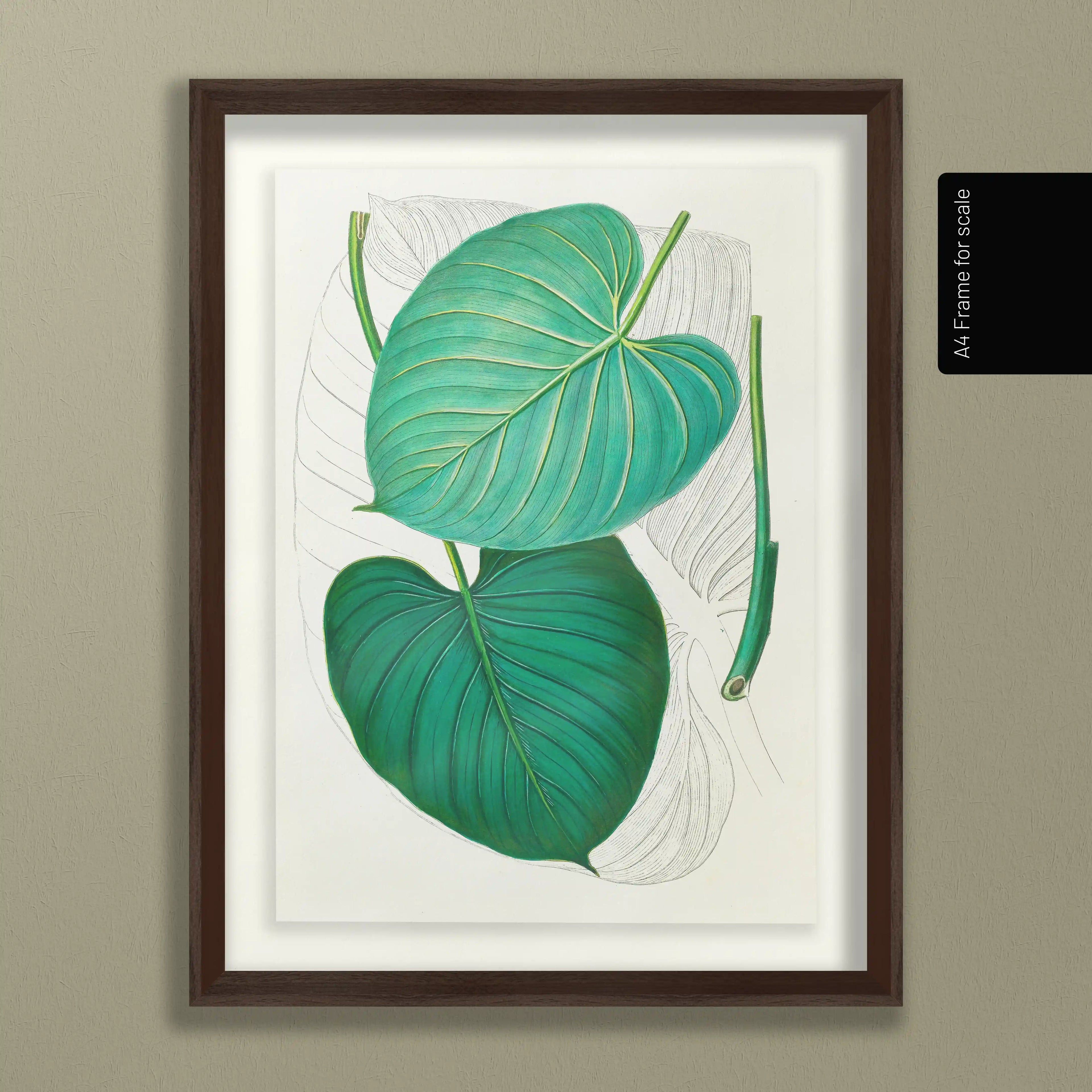 Plant Studies: Plate No. 03
